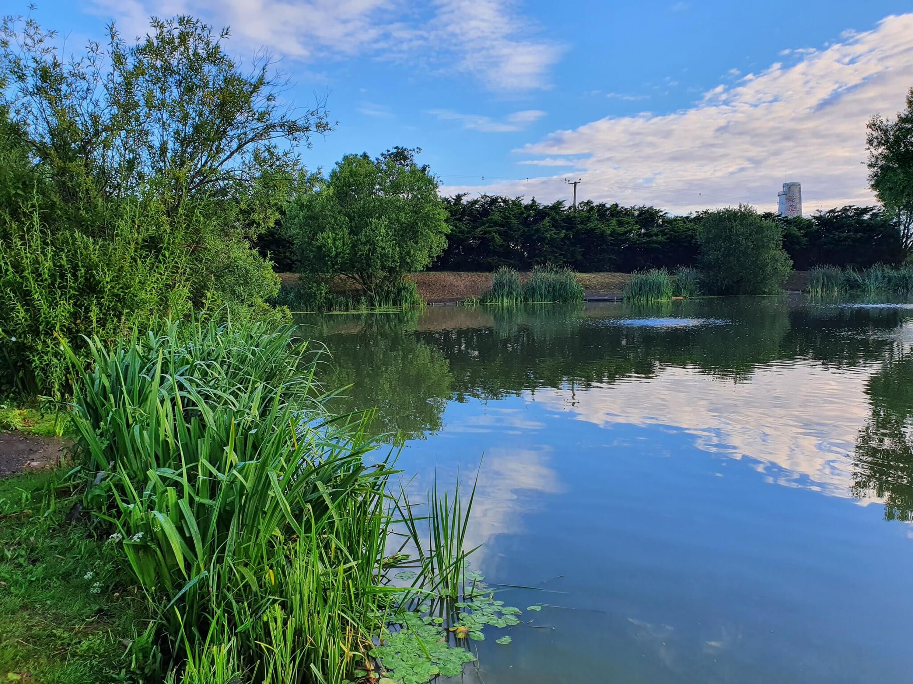 Lingmere Fishery
