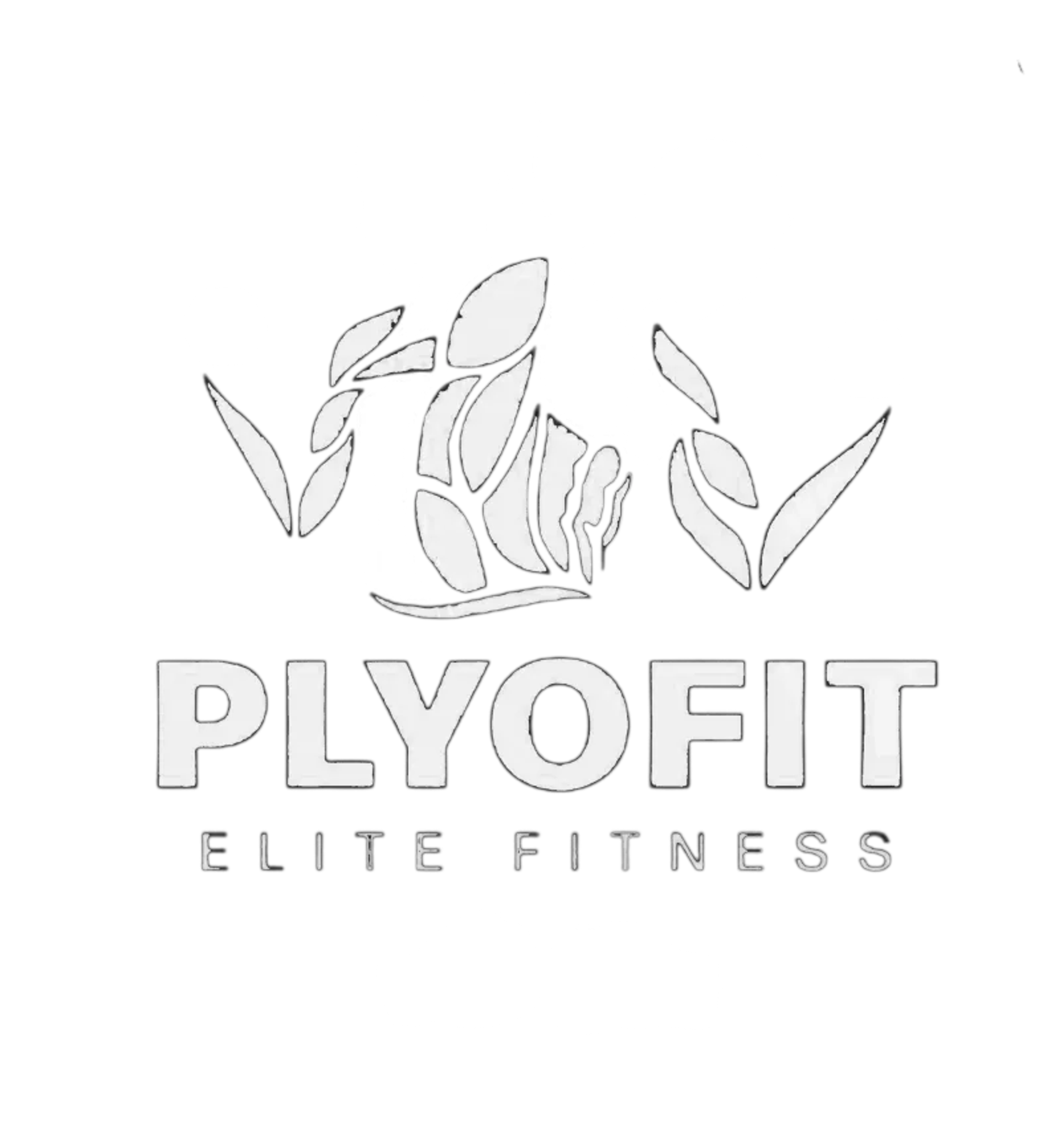 6 Week Foundation Programme