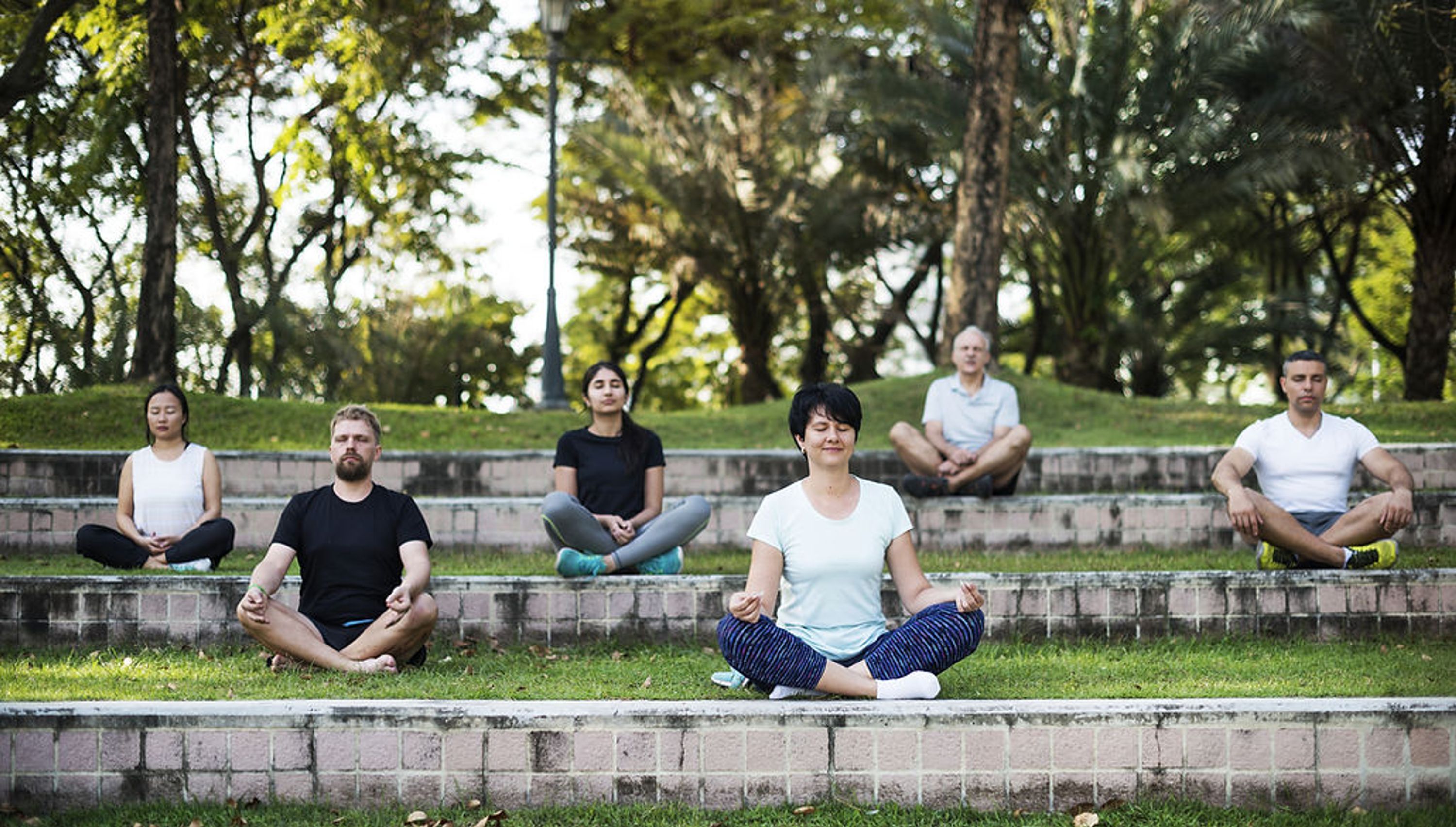 Swasthya Sadhana Kendra