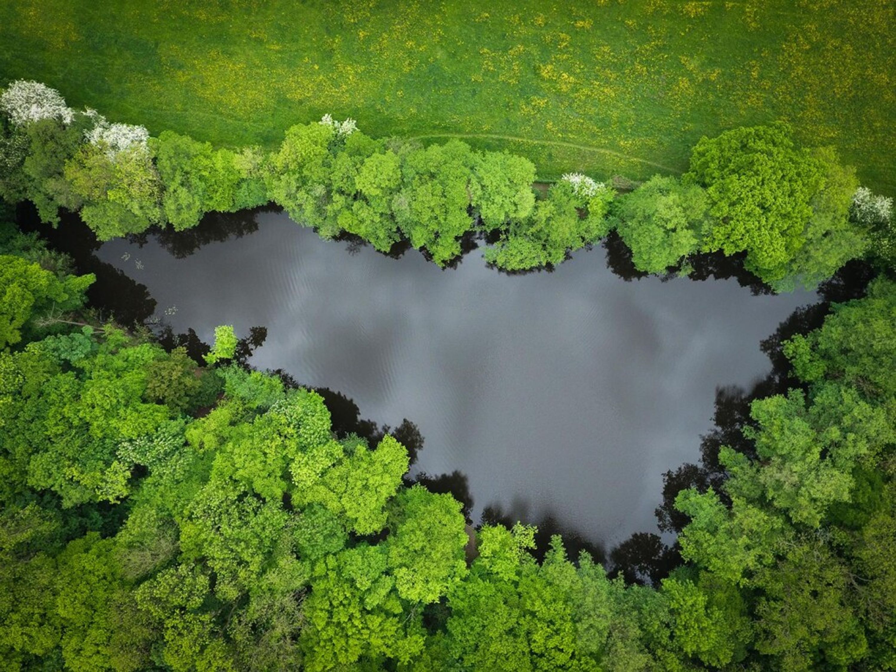 Hook Lake Carp Fishery