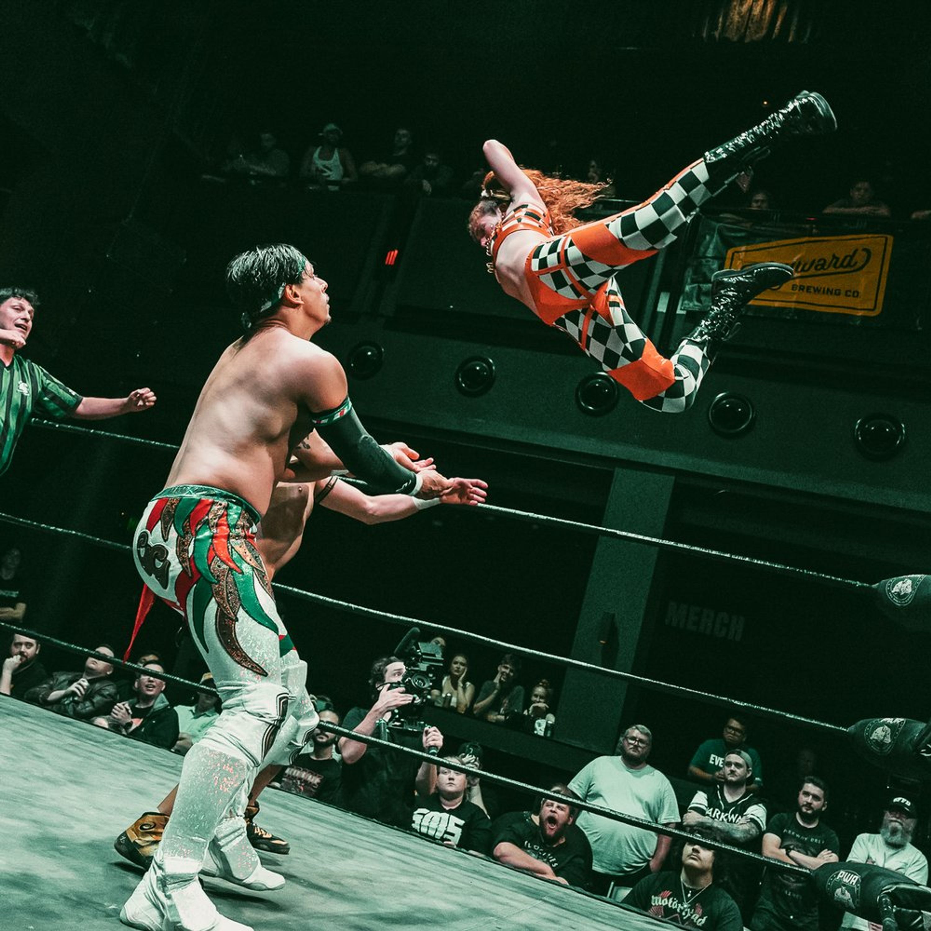 Pro Wrestling Academy