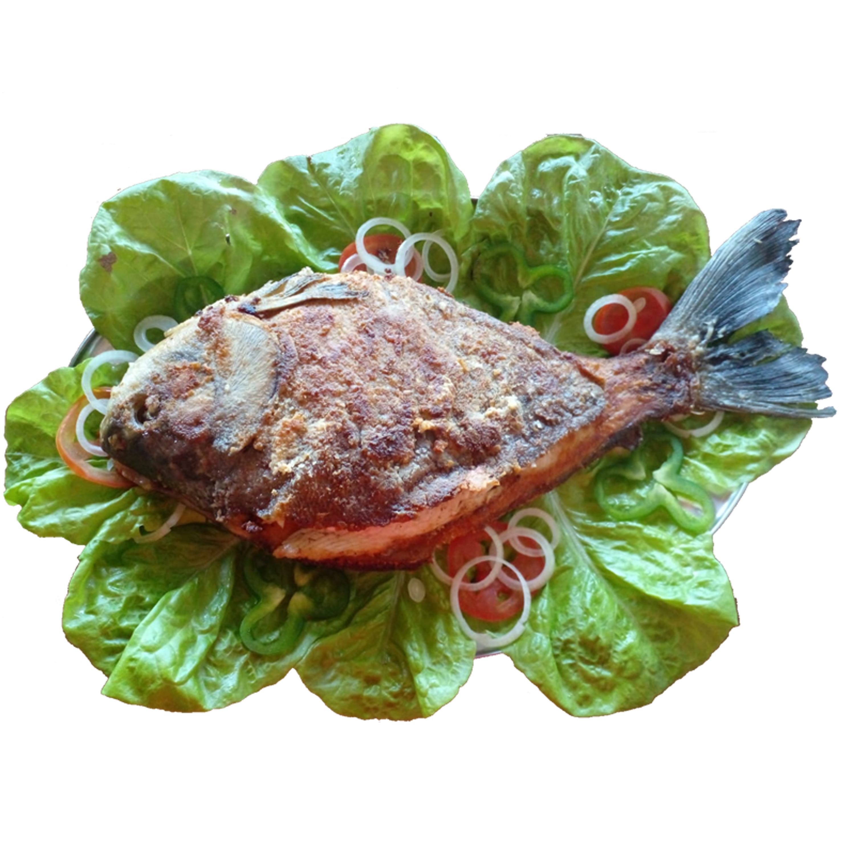 Recanto da Matrinxã