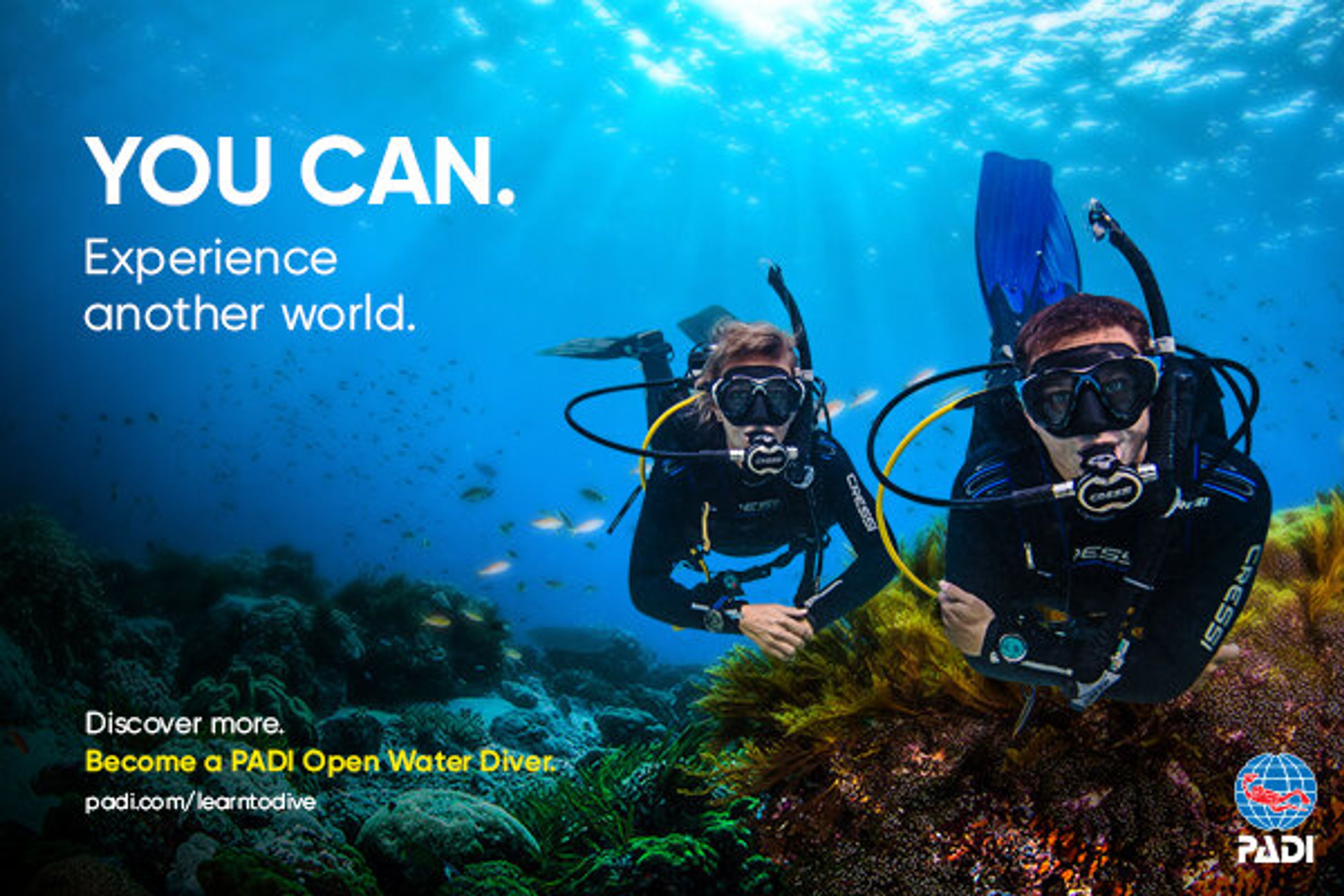 PADI Pro Dive Courses with The Dive Company