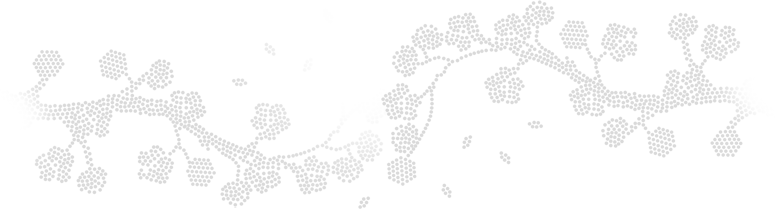 Aikido WA