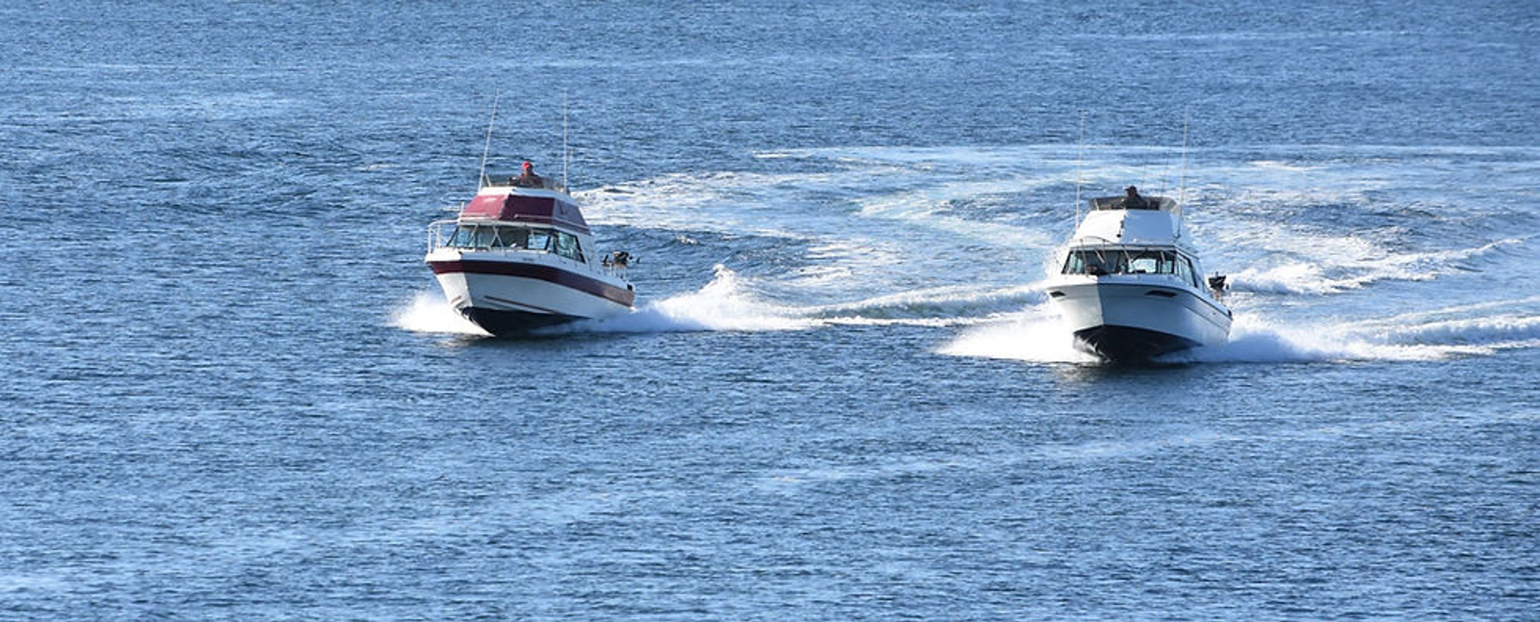 Fife Brothers Sport Fishing Adventures