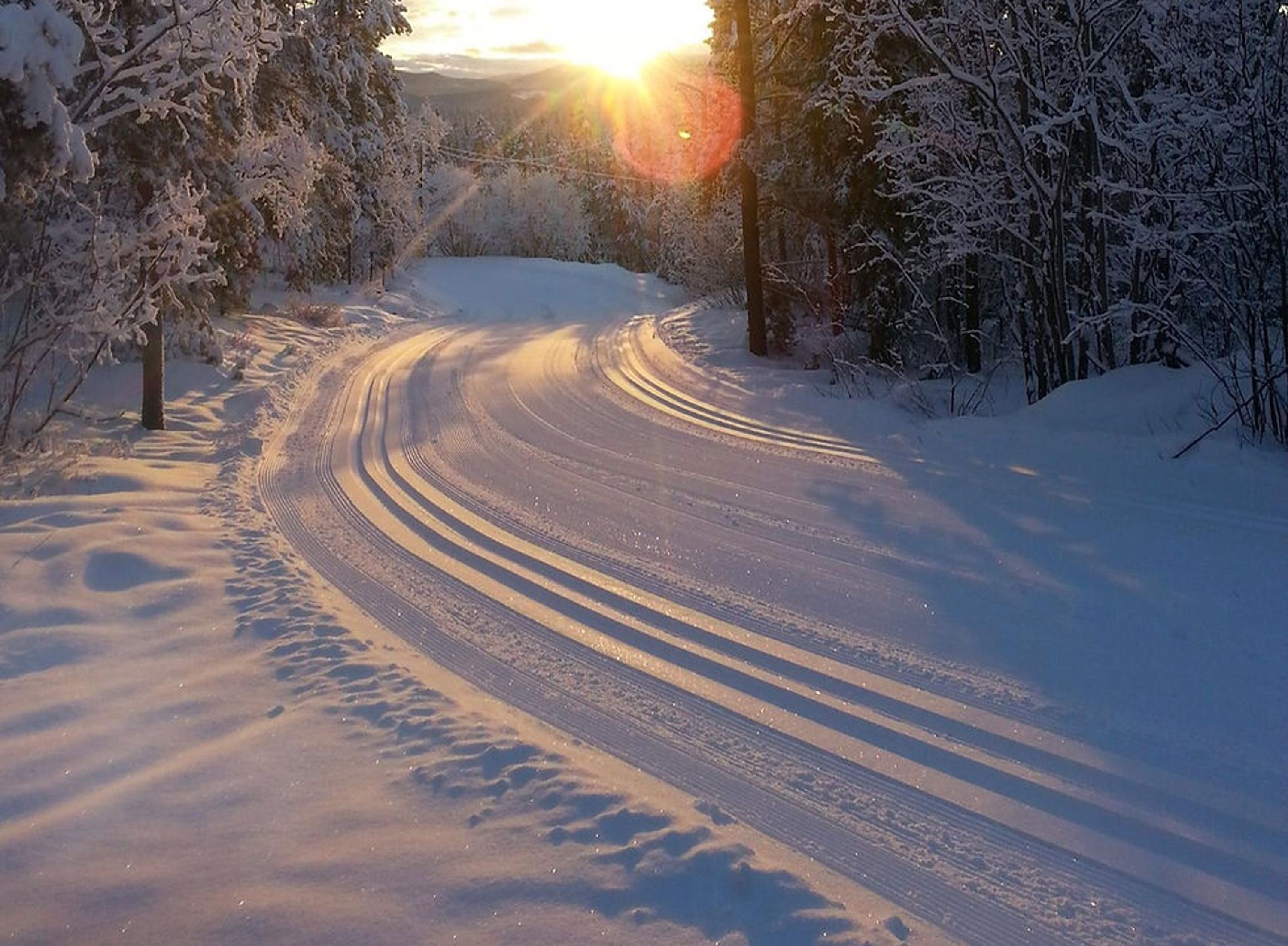 Whitehorse Cross Country Ski Club