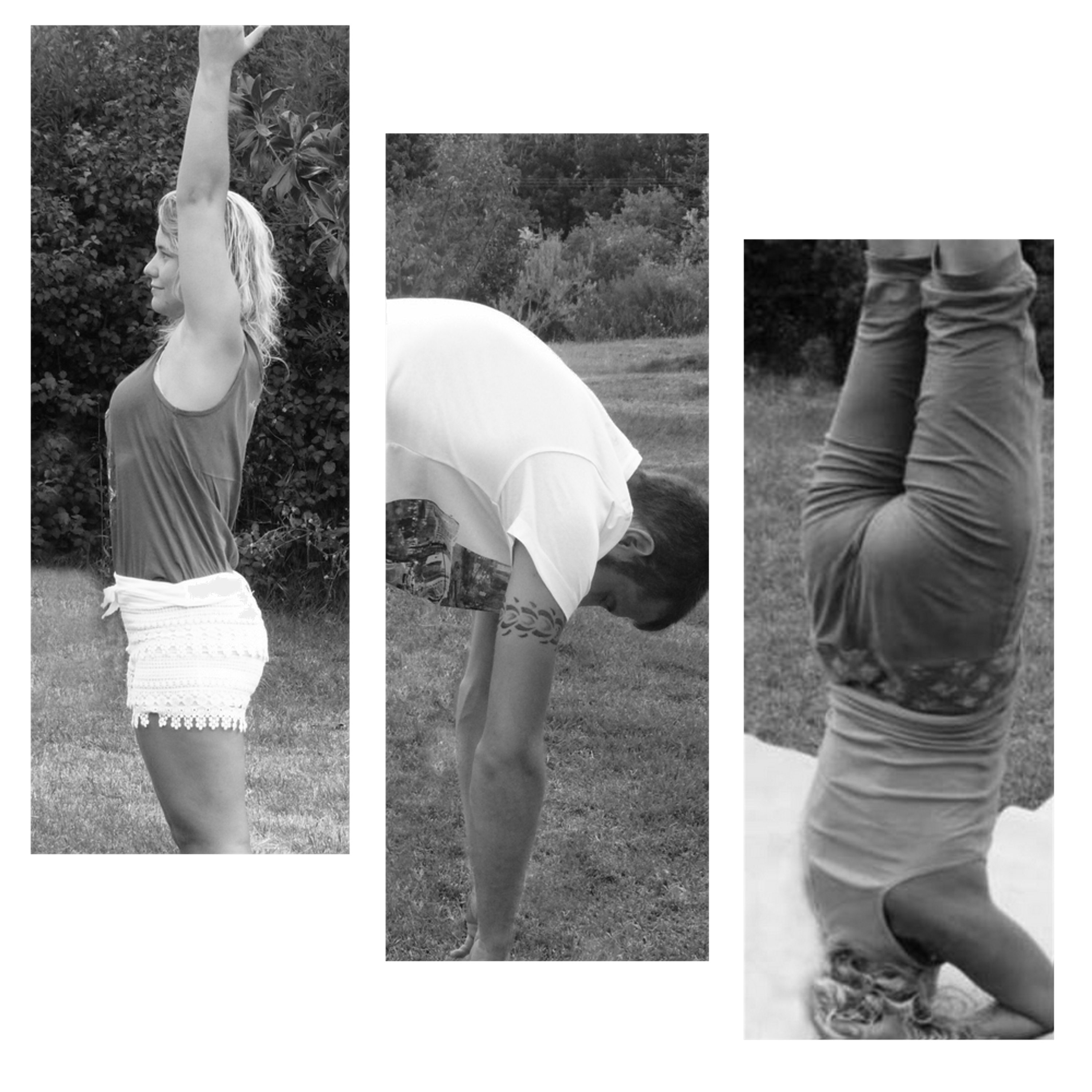 Samkalpa / School De Yoga