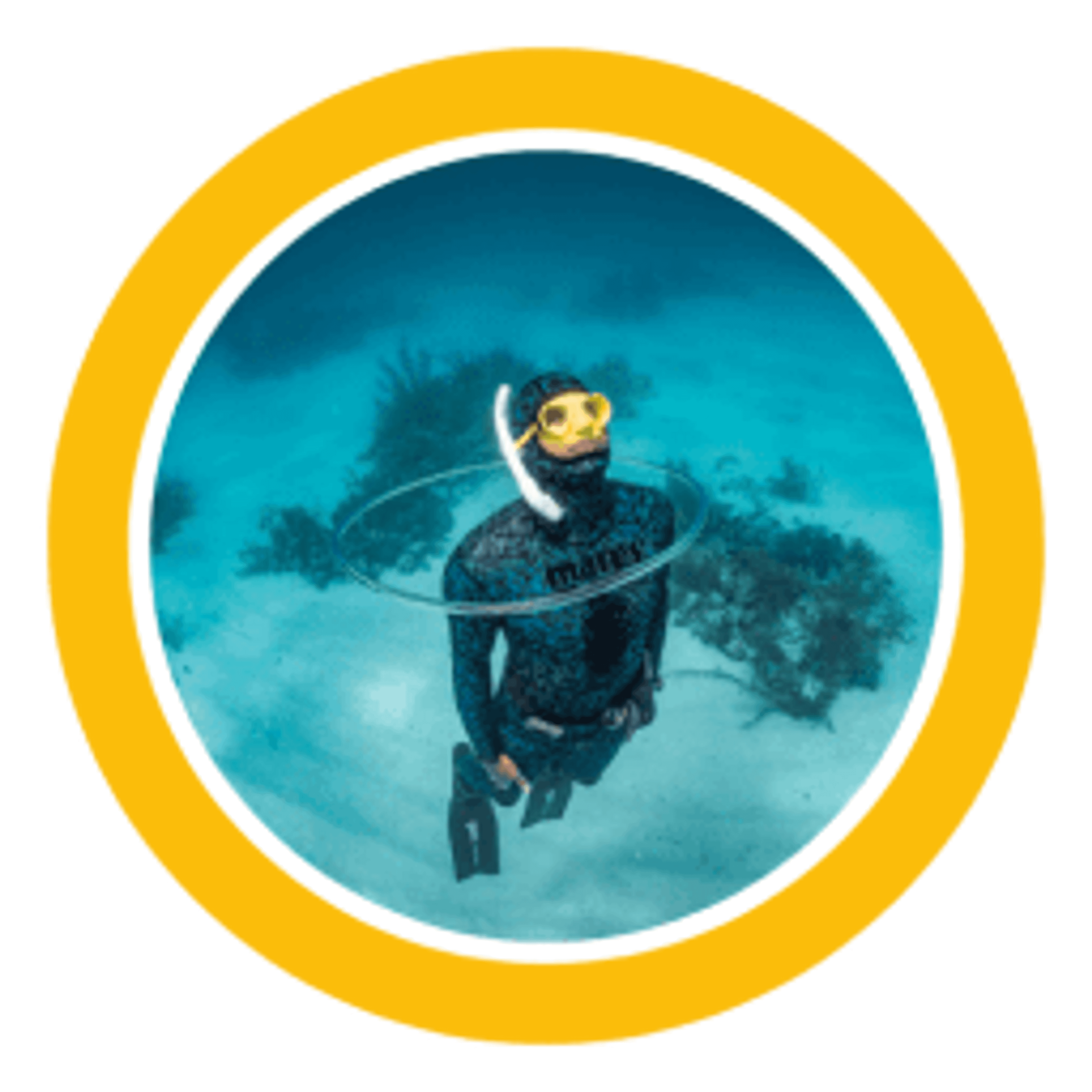 Chango Diving