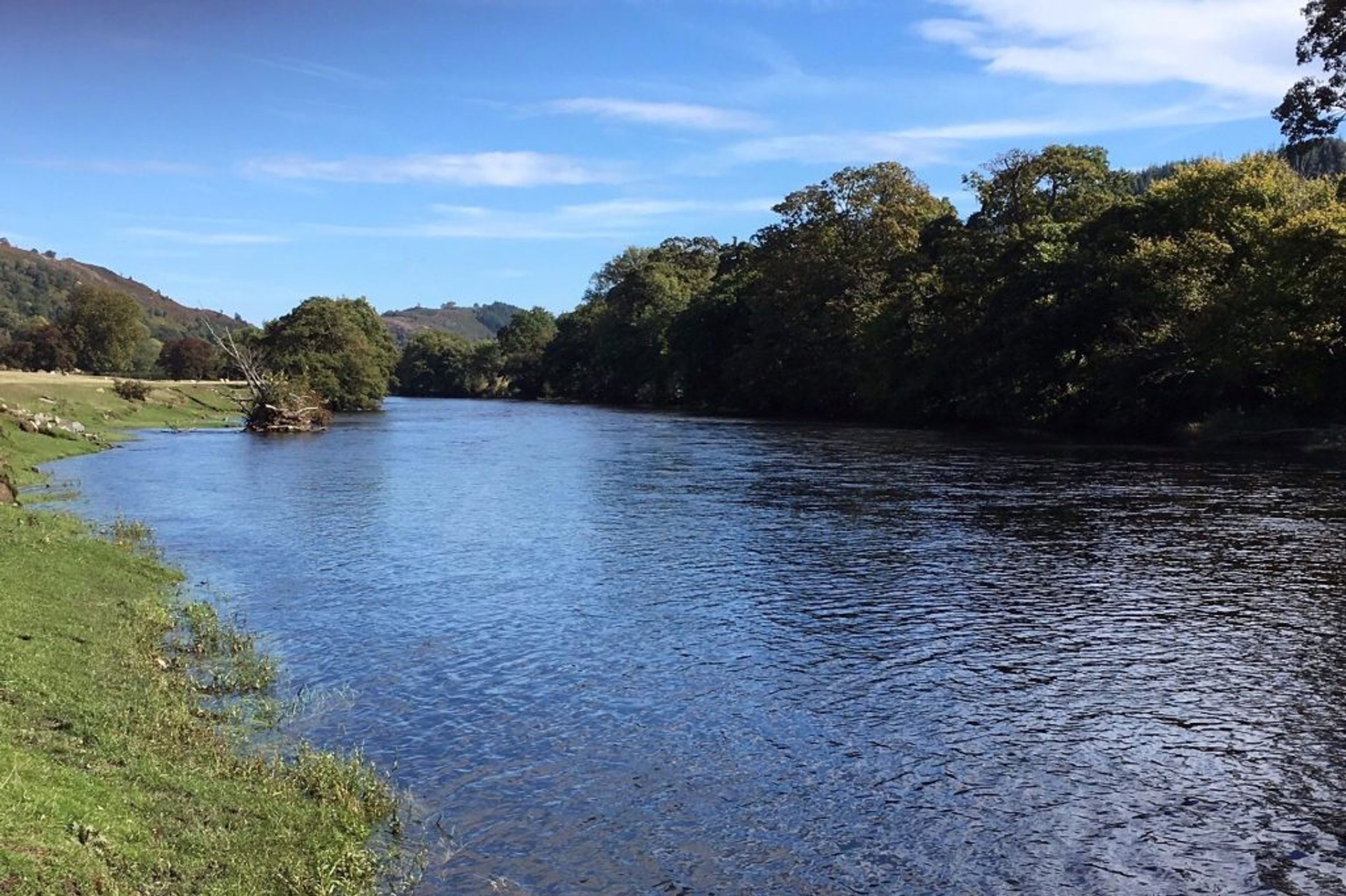 Capenhurst Angling Club
