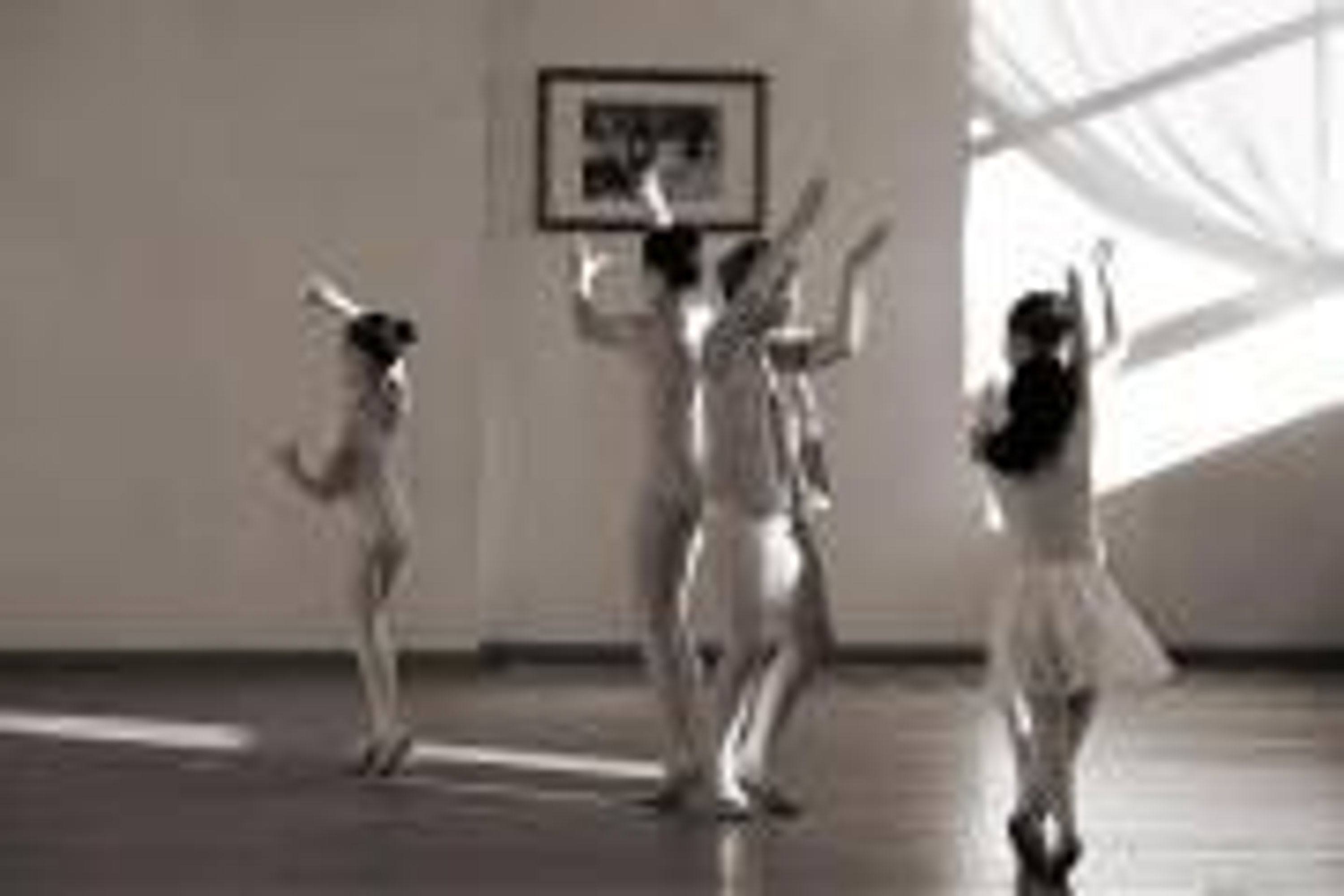 Harlequin Arts Academy