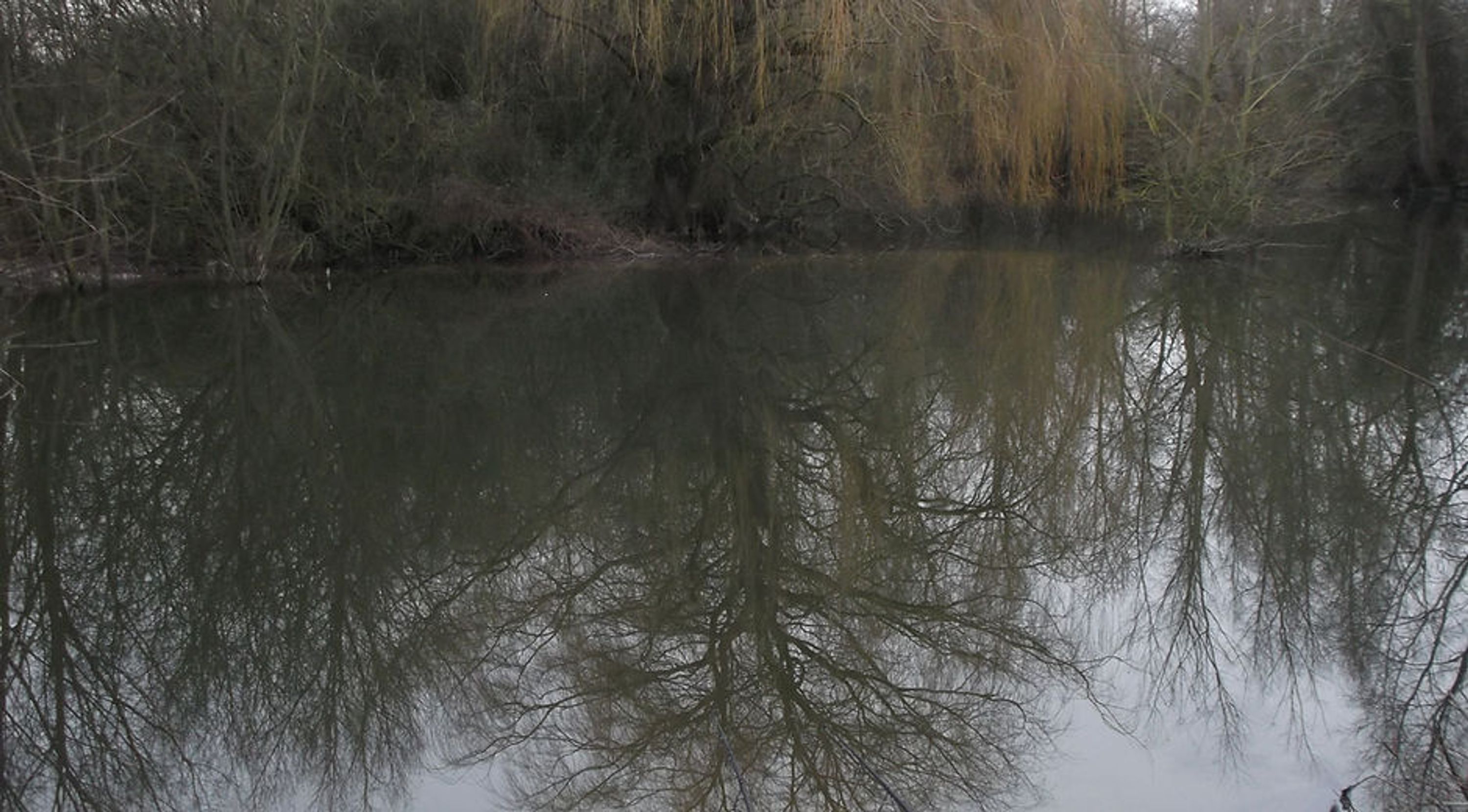 The Royston And District Angling Club