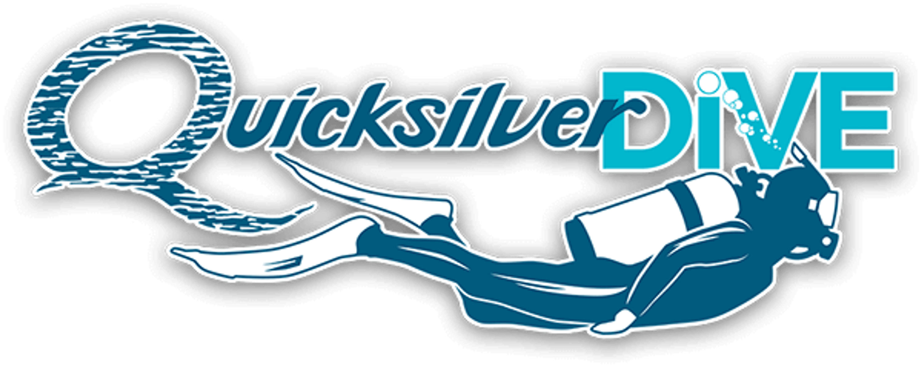 PADI Dive Master