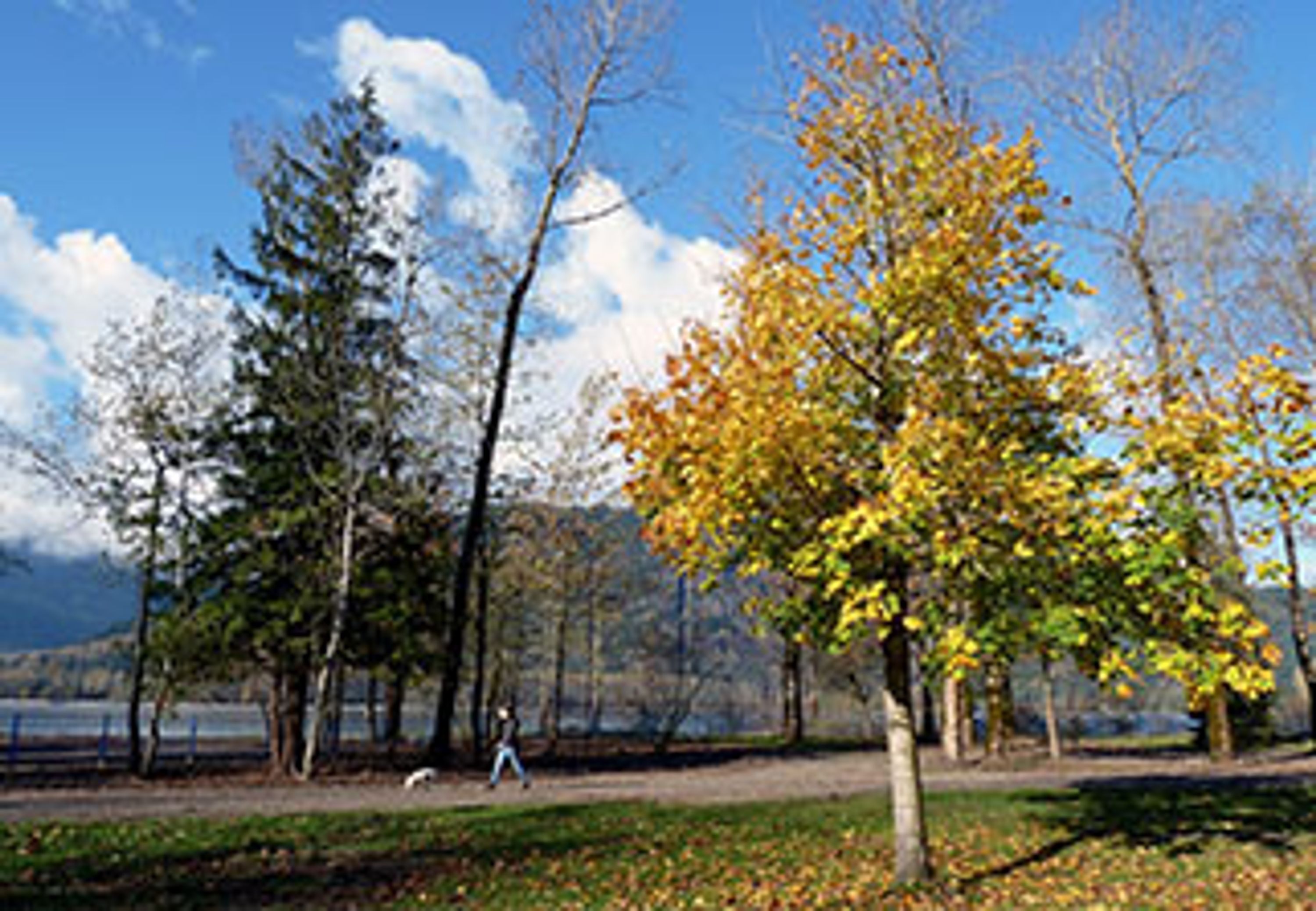 Island 22 Bike Park