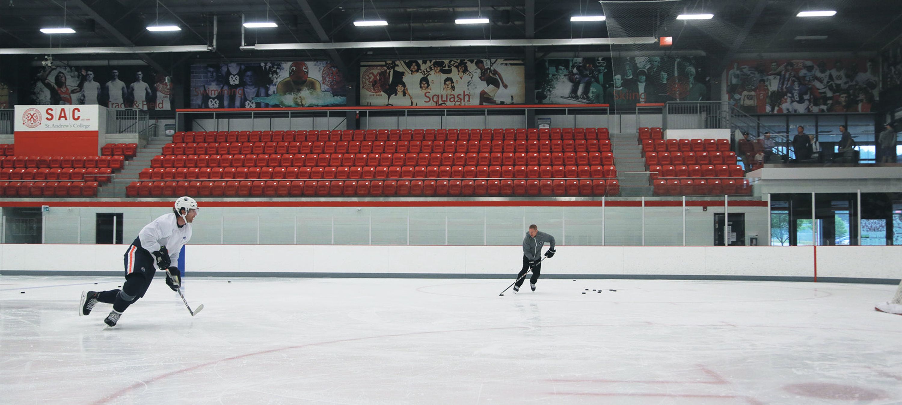 Perfect Skating