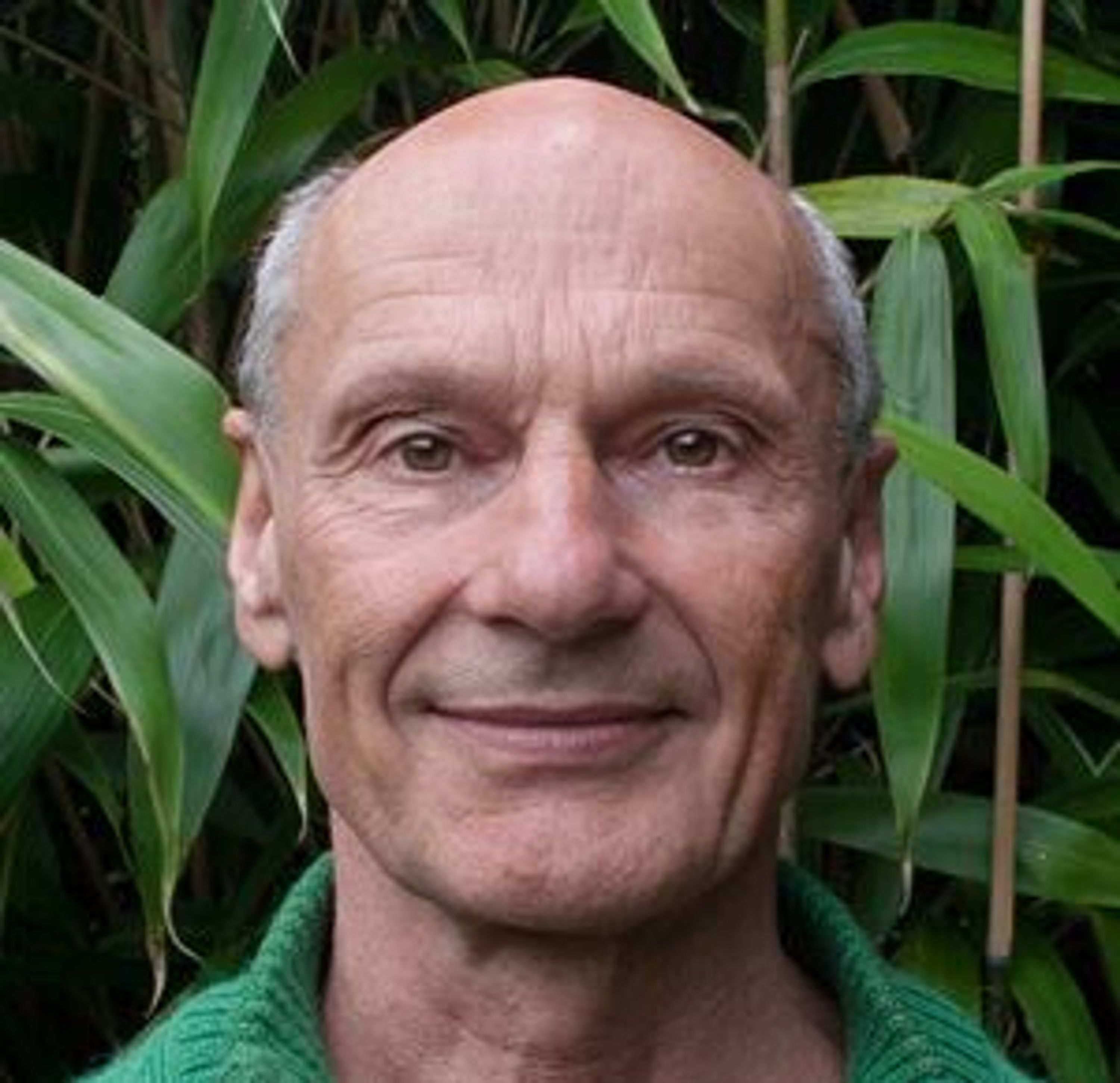 Alain Volut, Professeur De Yoga