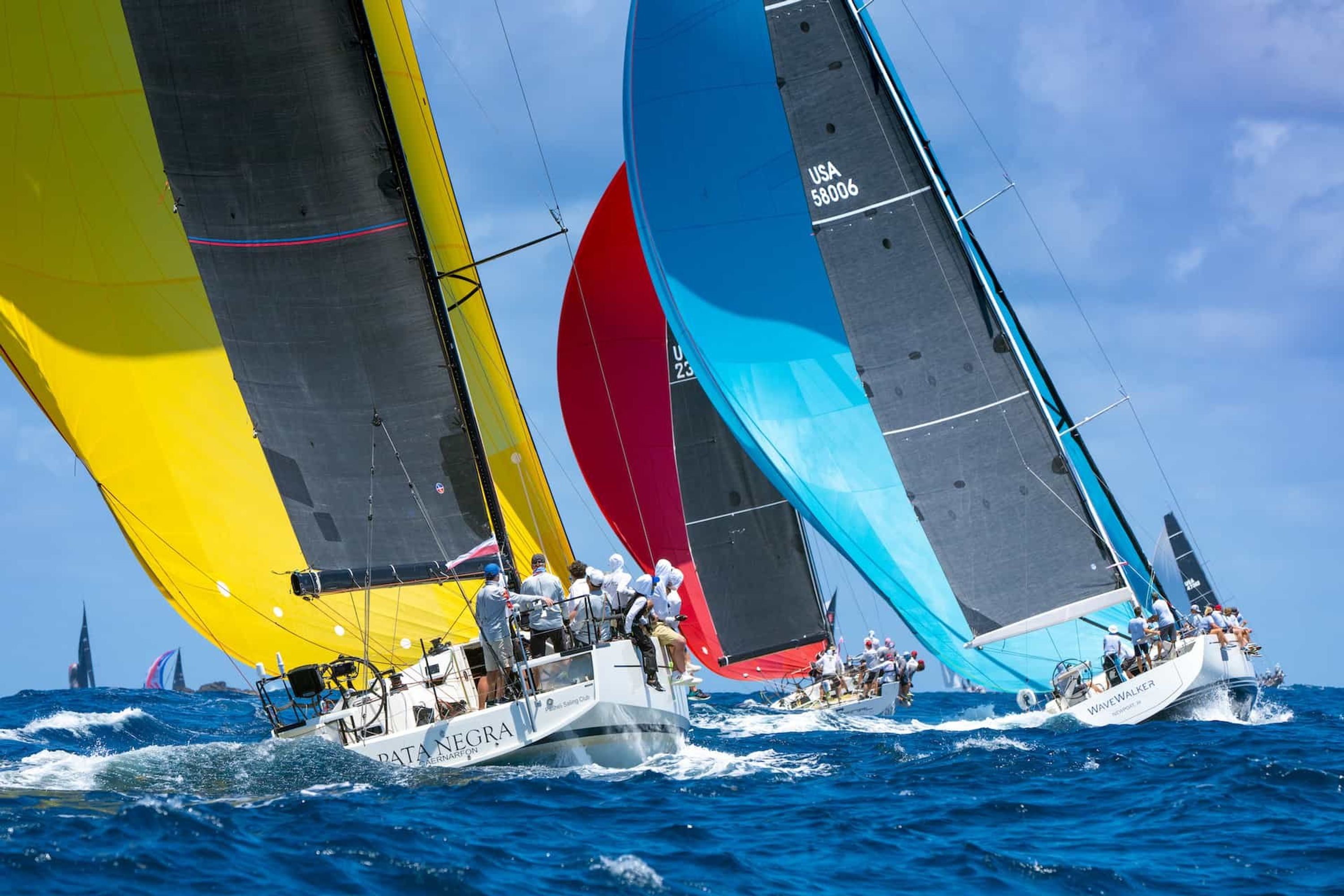 Taittinger Regatta