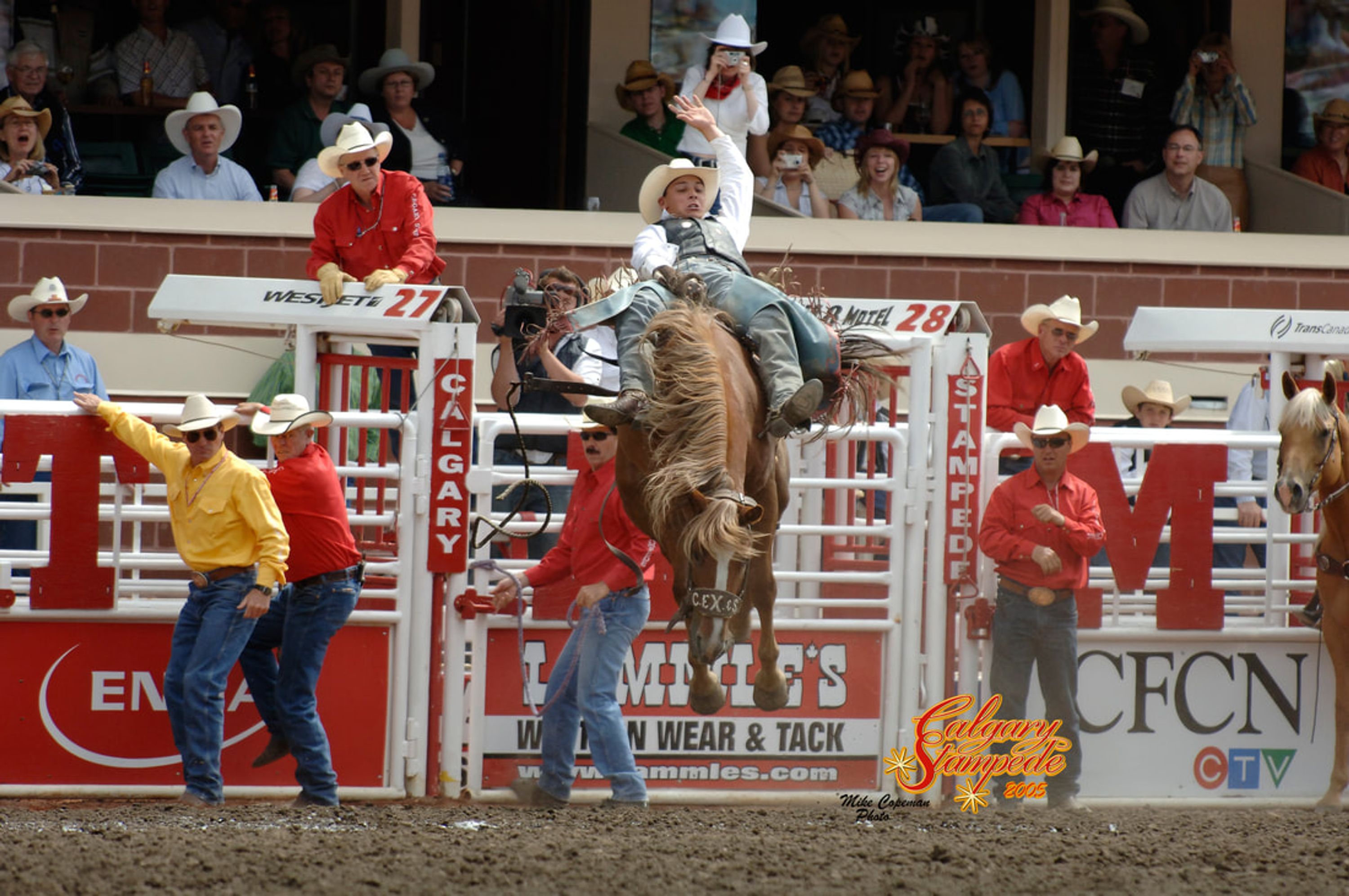 Summer Horse Camps at Rocky Hills Ranch