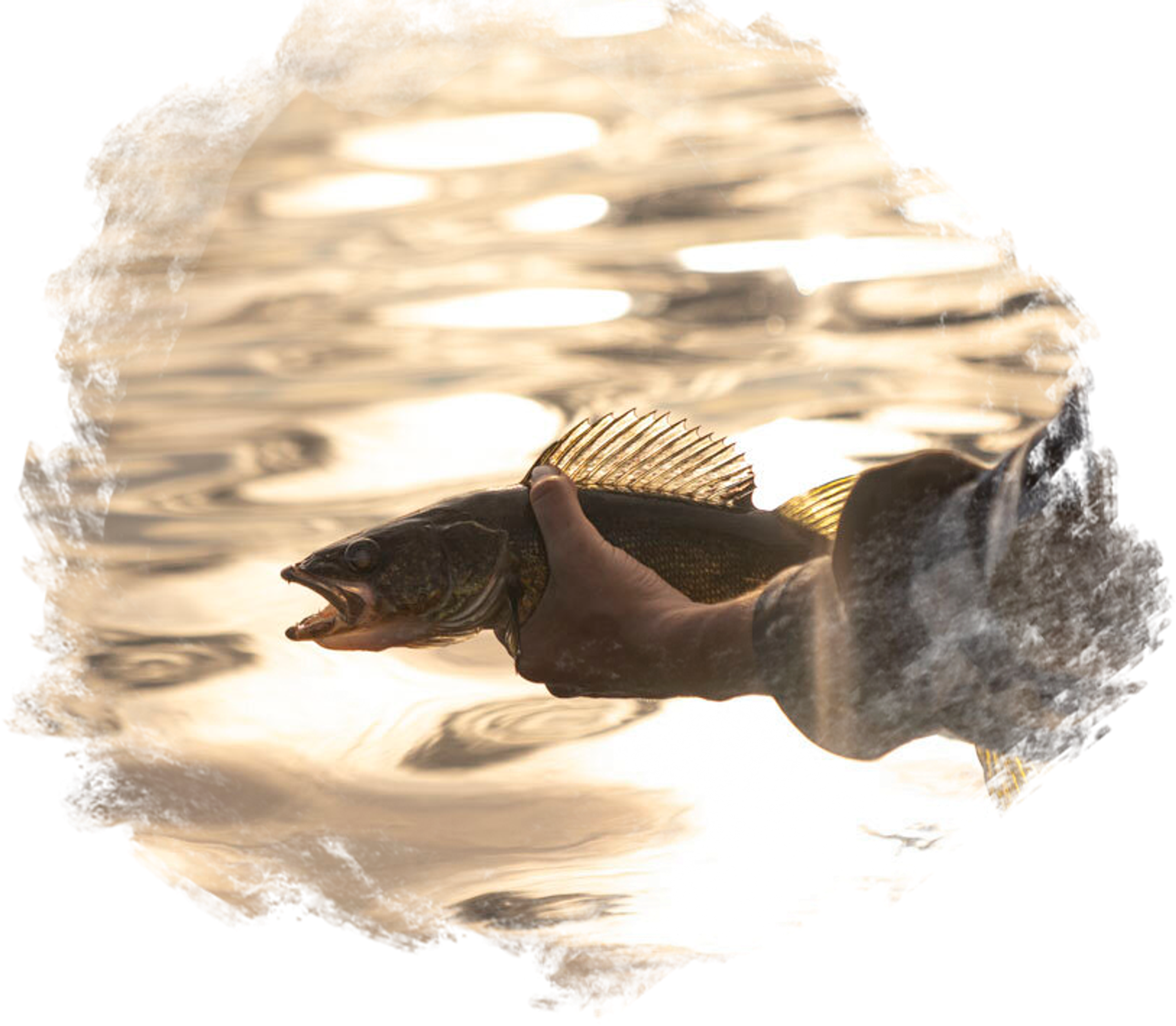 Rufus Lake Outfitters