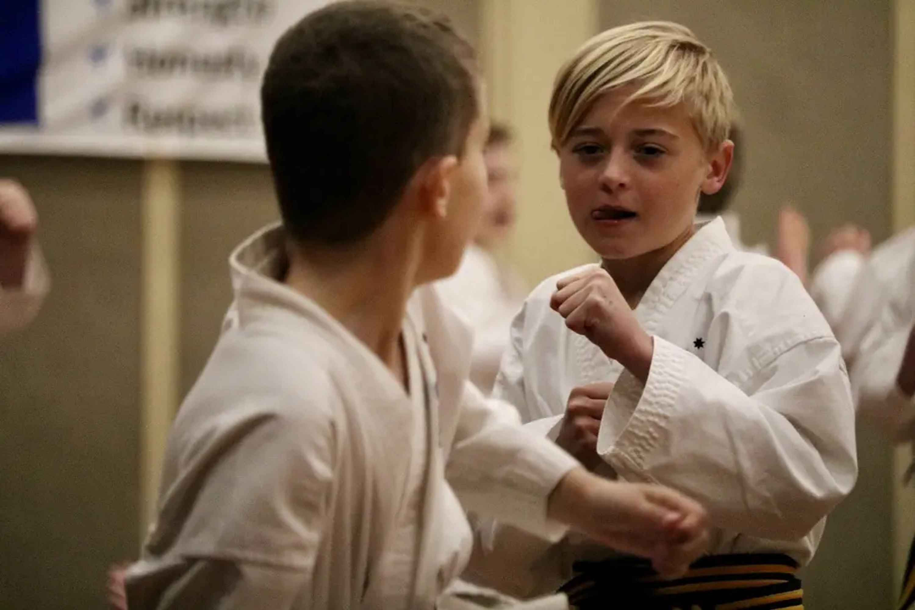 Tigers Tae Kwon-Do for Kids 3-5yrs
