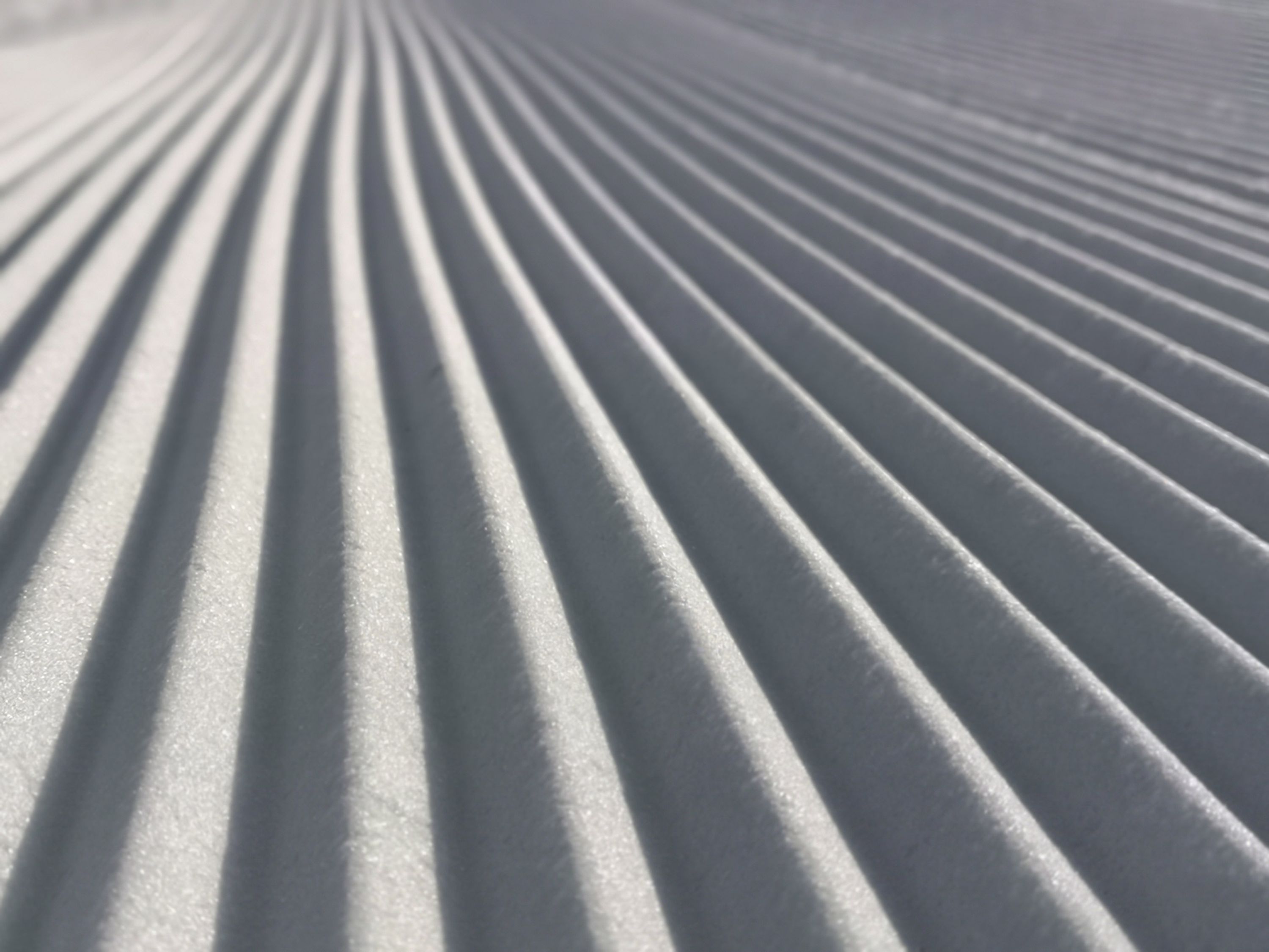 The Snow Institute
