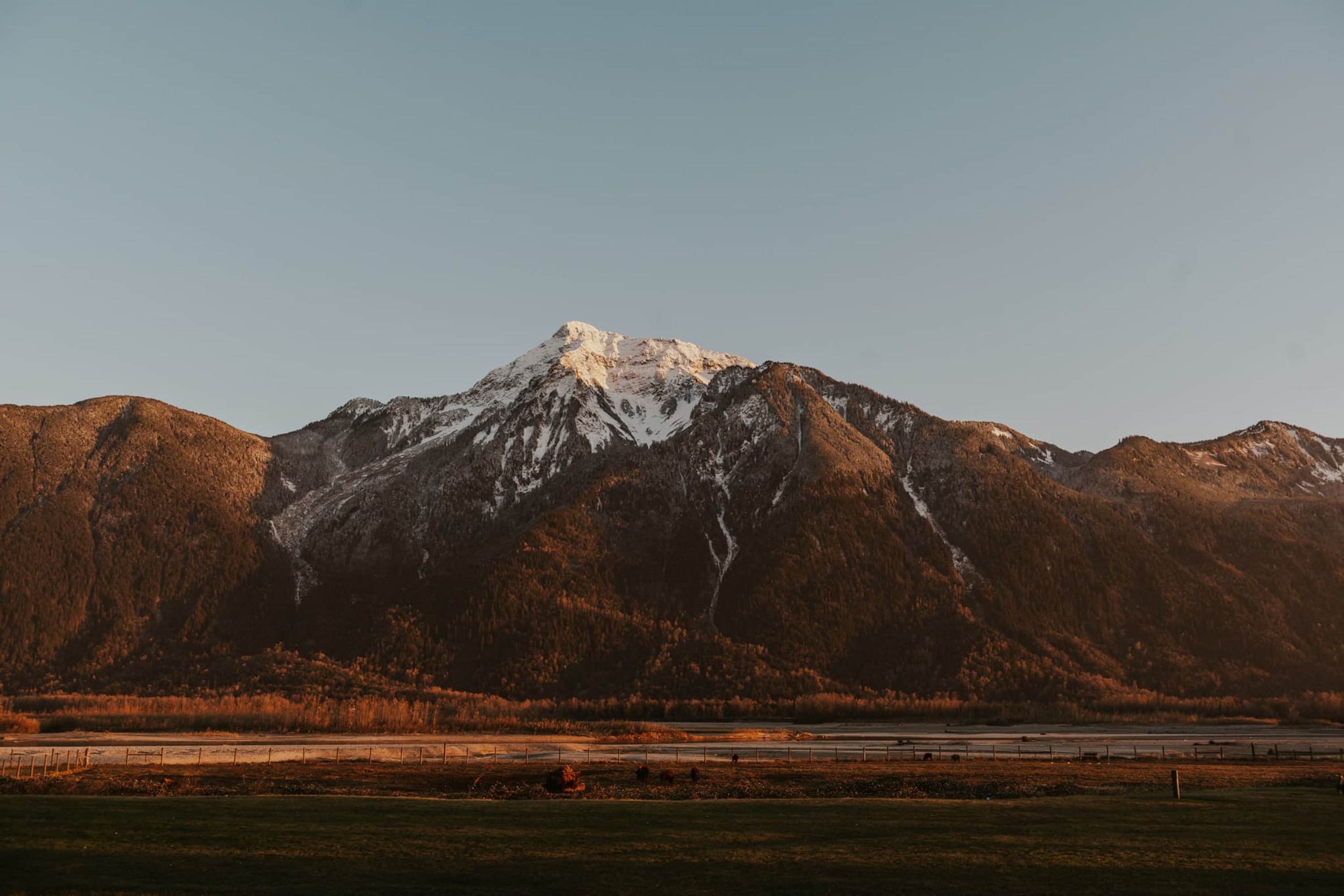Fraser River Lodge