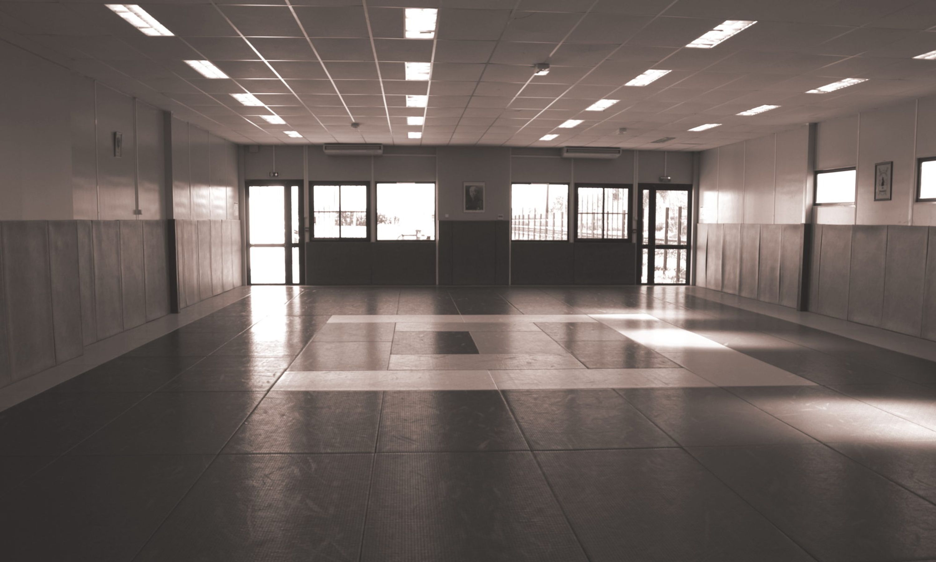Mushin Ryu Ju-Jutsu Dojo Marcheprime