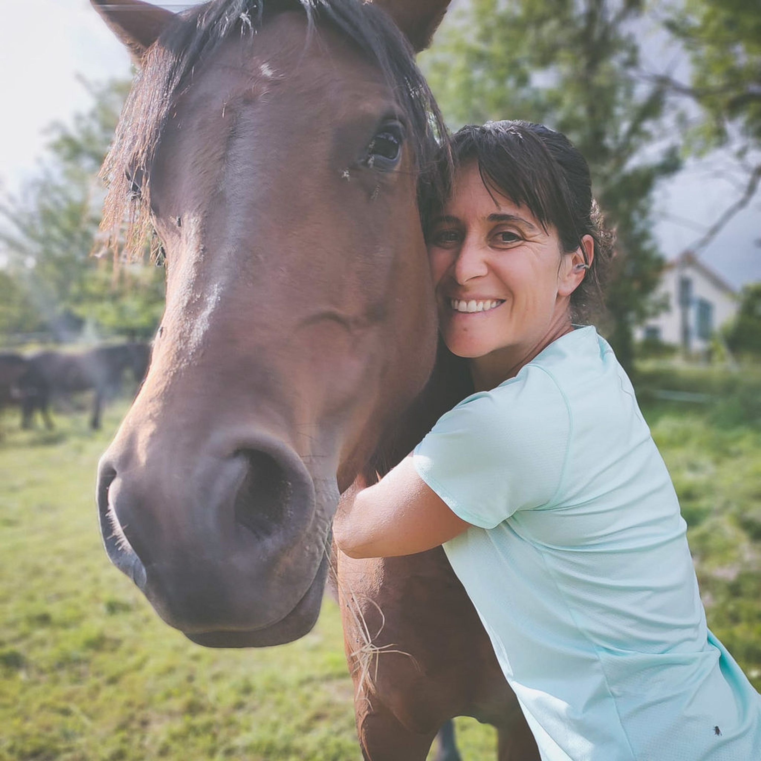 Moment Riding And Équicoaching