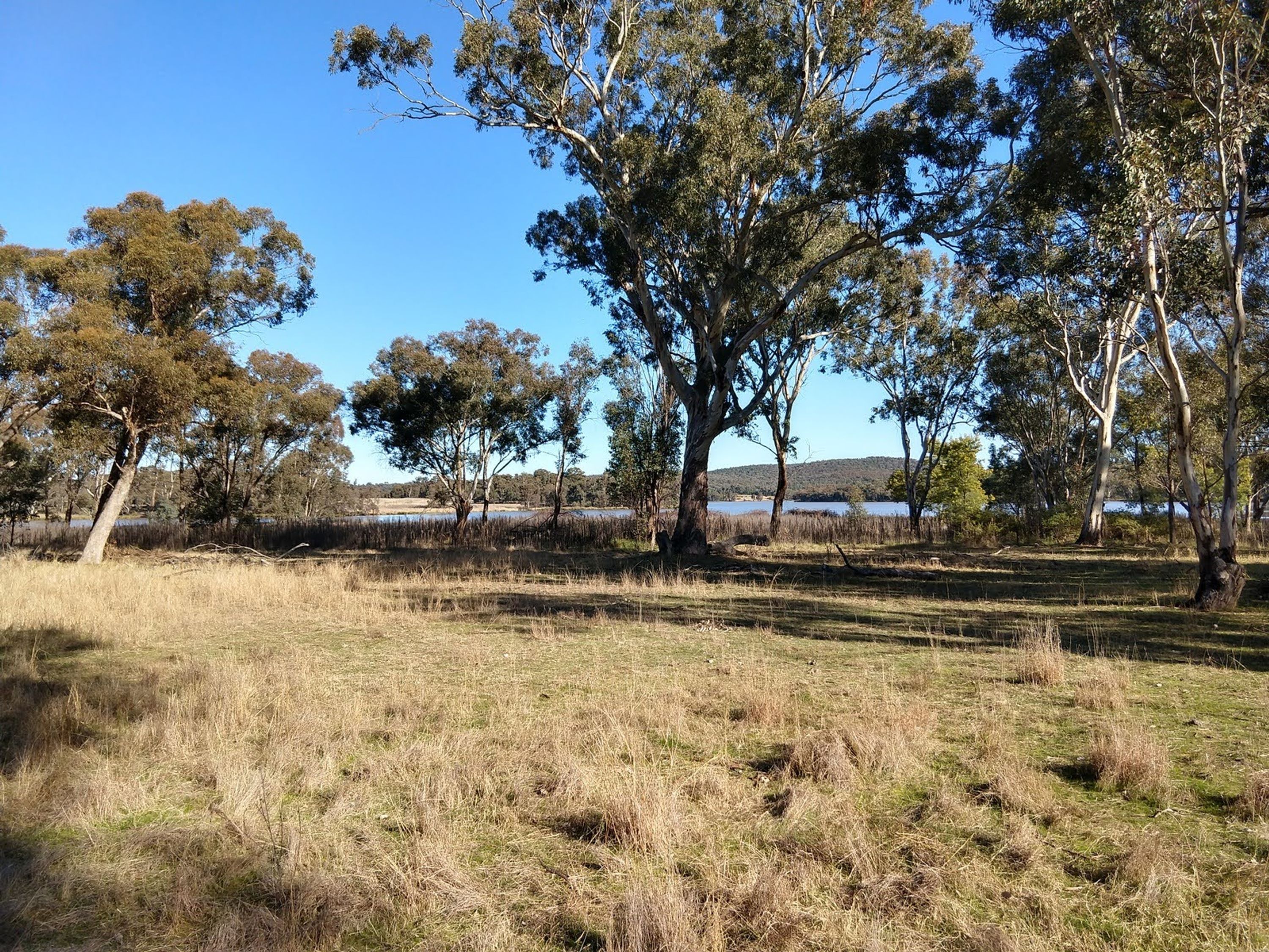 Australian Rogaining Association Event