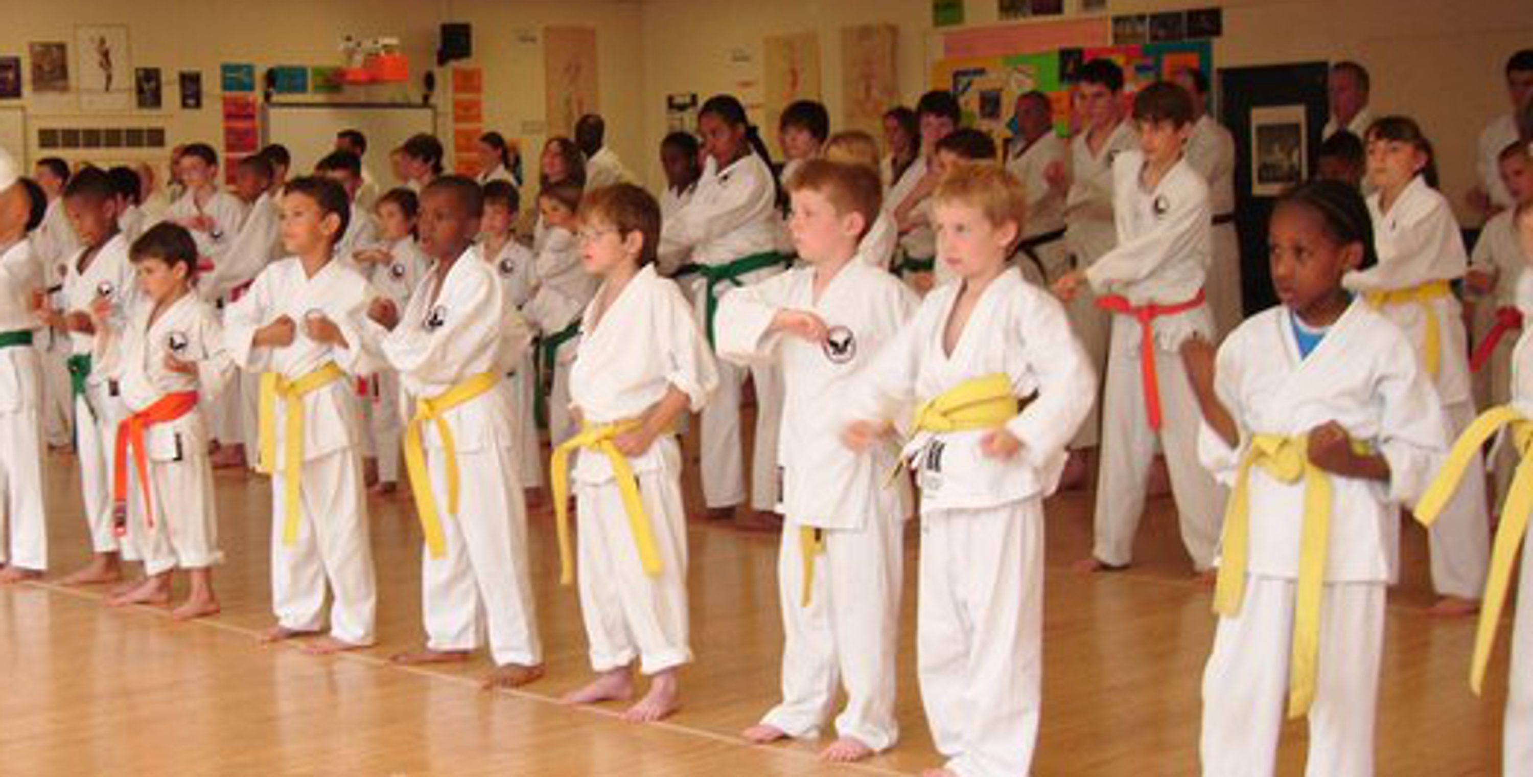 Homerton Karate Class
