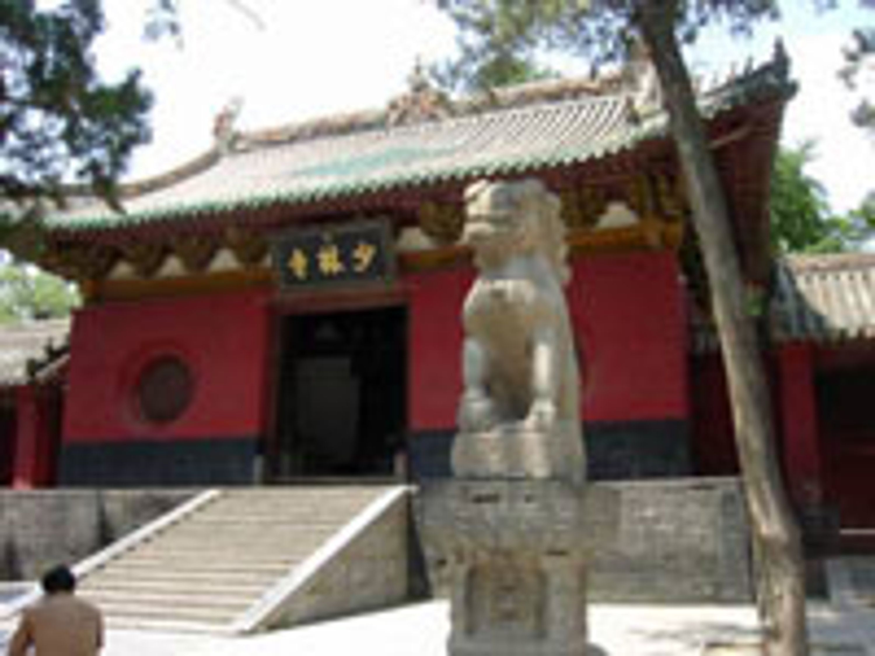 Kung Fu Lille