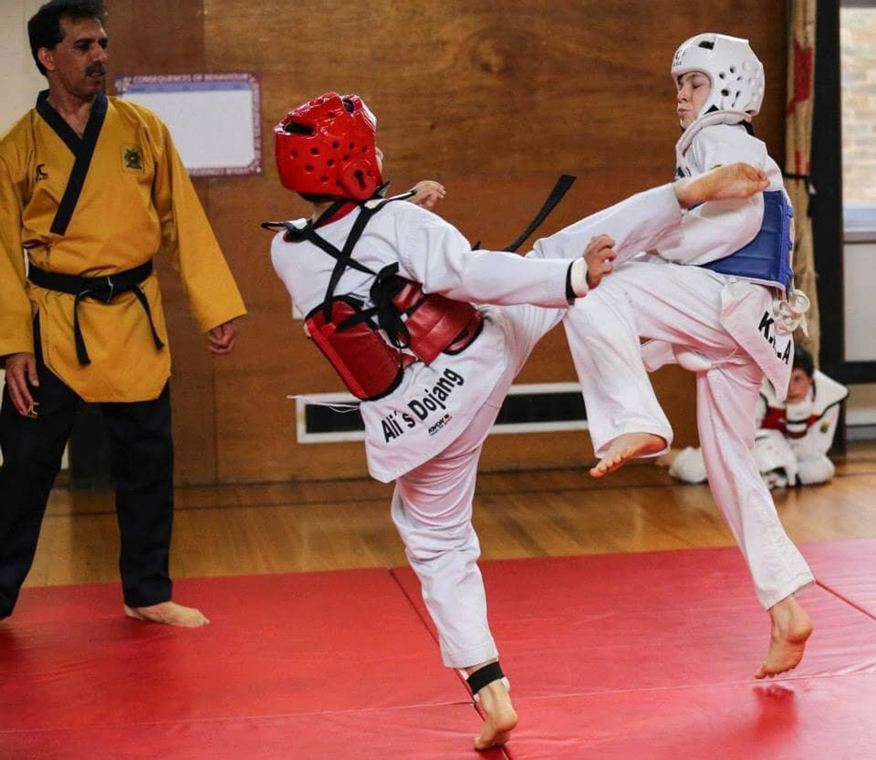 Alis Dojang London Taekwondo Club