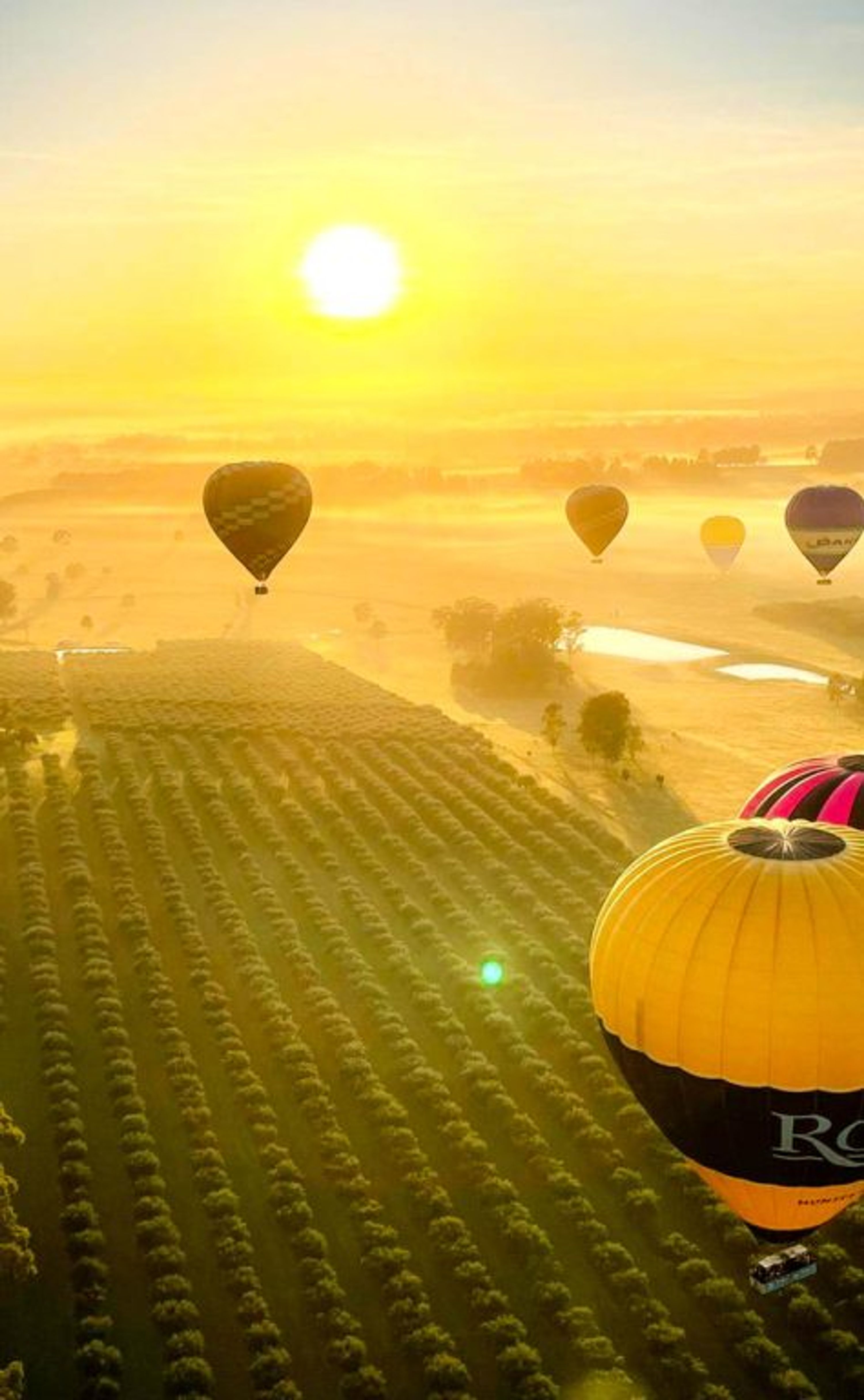 Byron Bay Ballooning