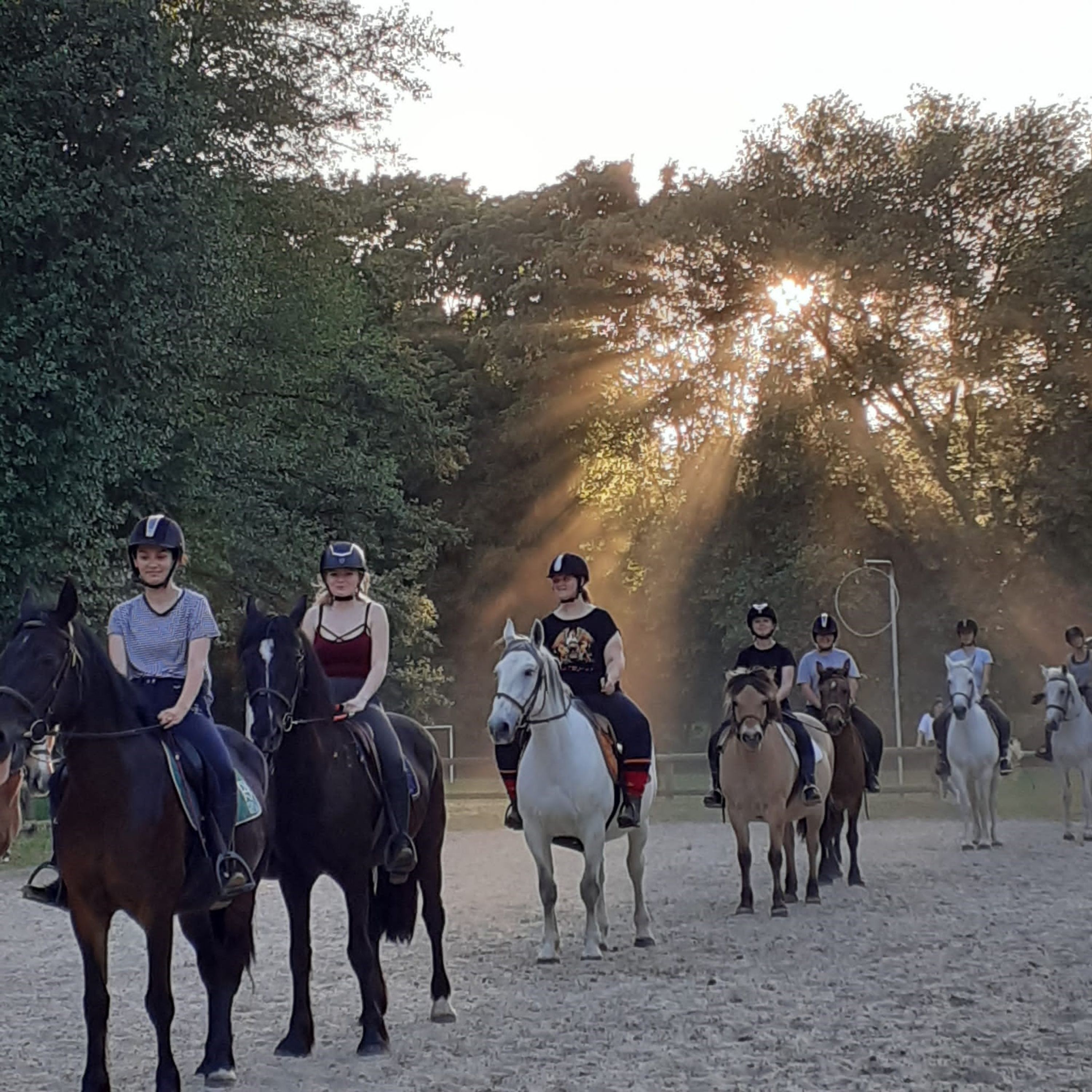 CENTRE EQUESTRE LES FAUVETTES