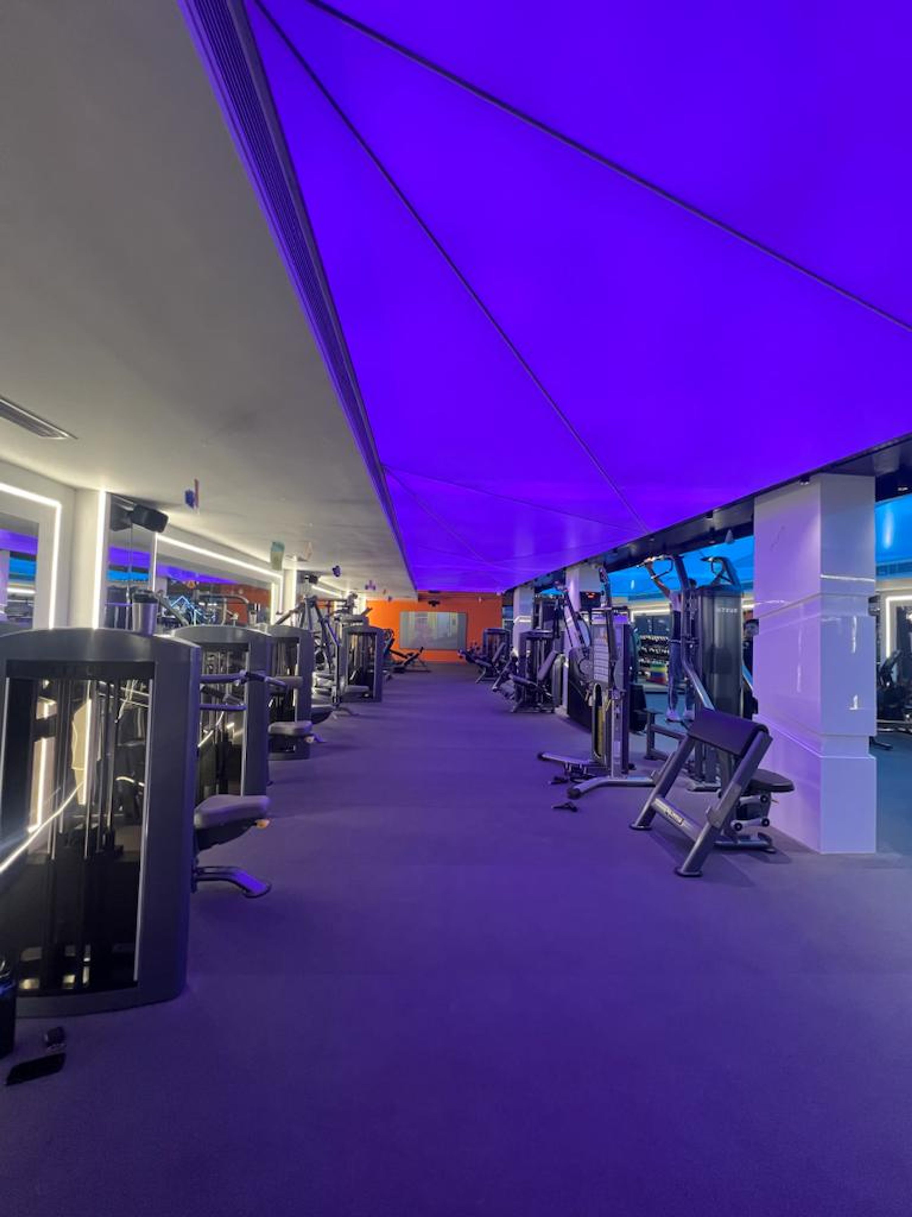 Ginnys Gym