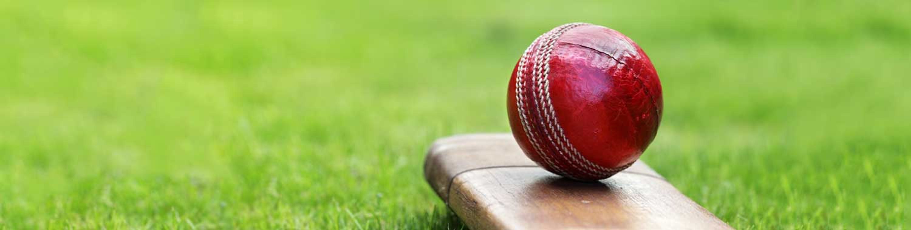 Complete Cricket