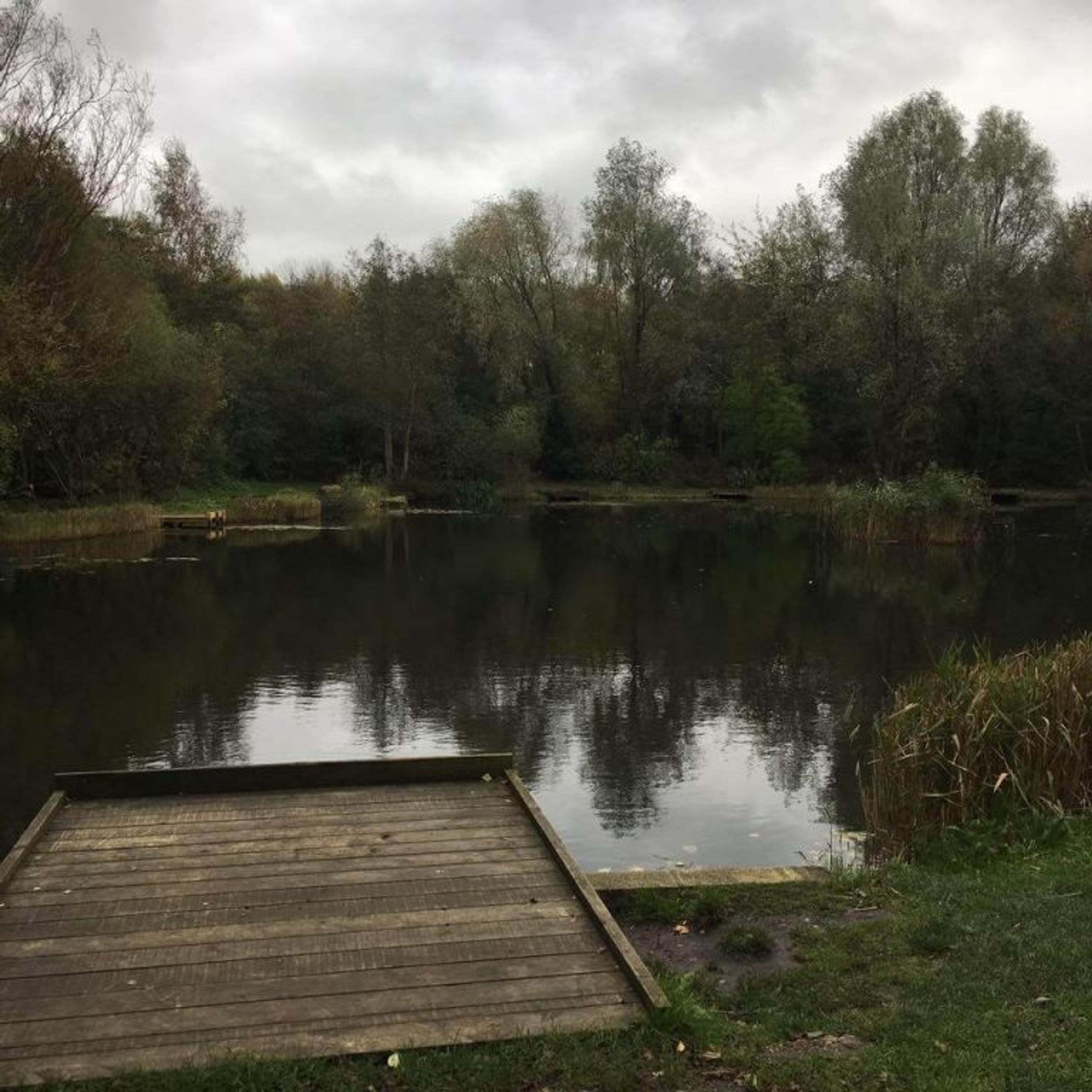 Tibshelf Ponds