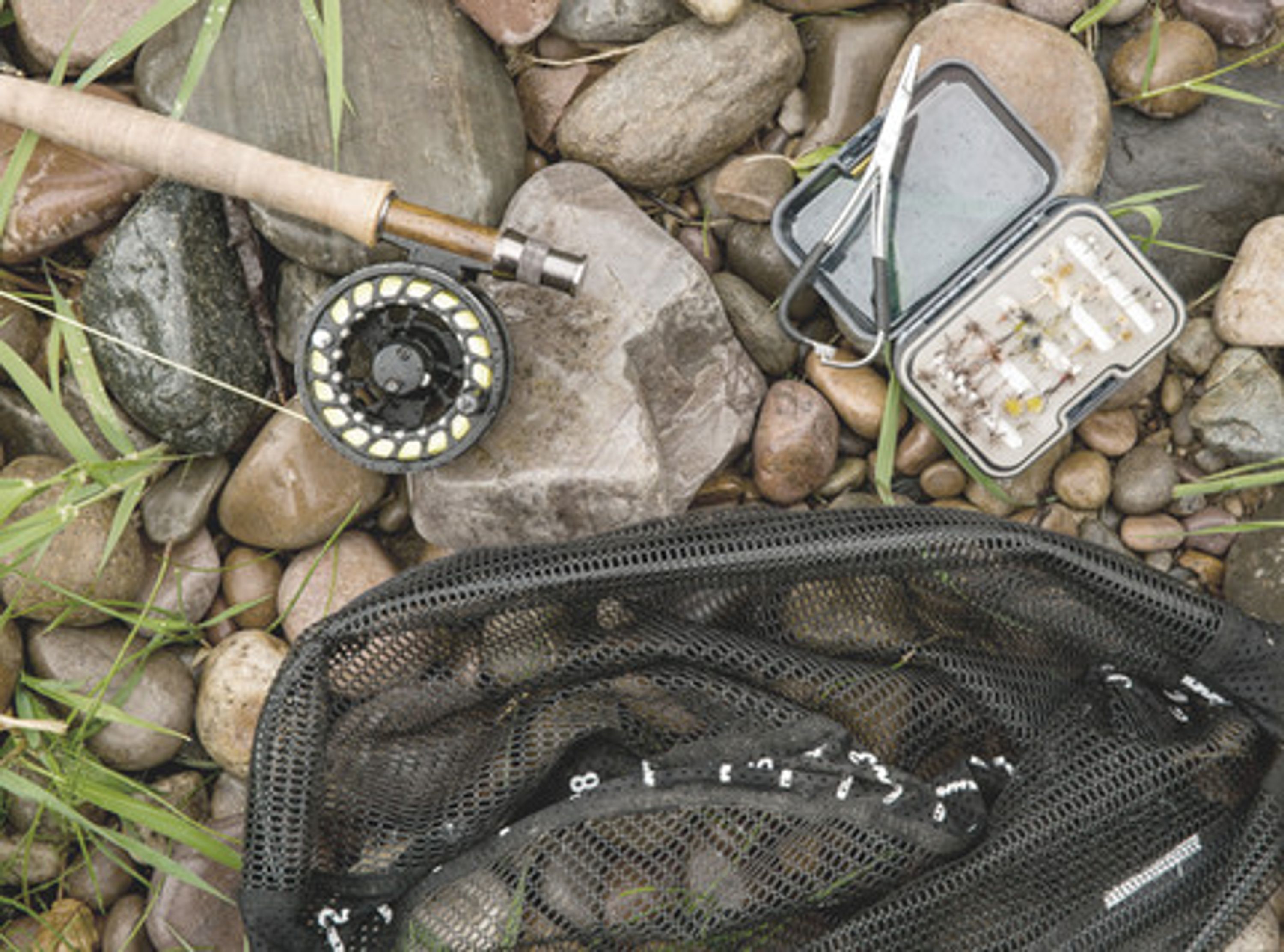 Fast Eddies Bait & Tackle