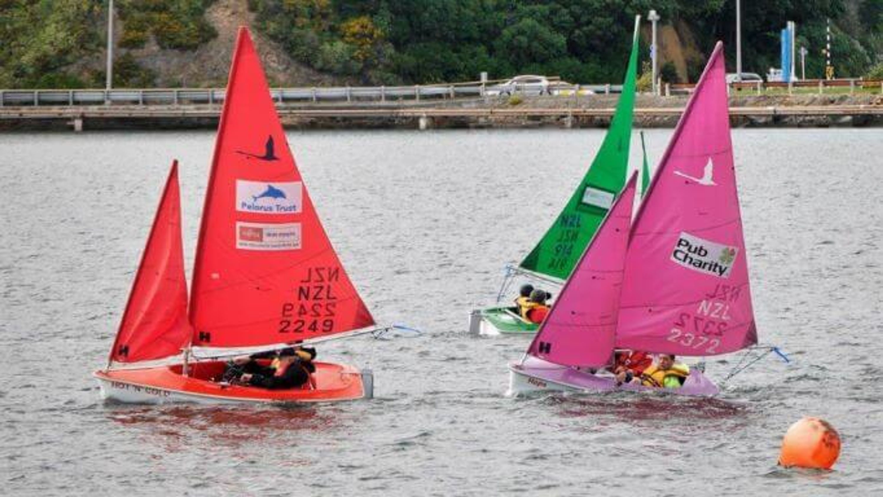 Sailability Wellington