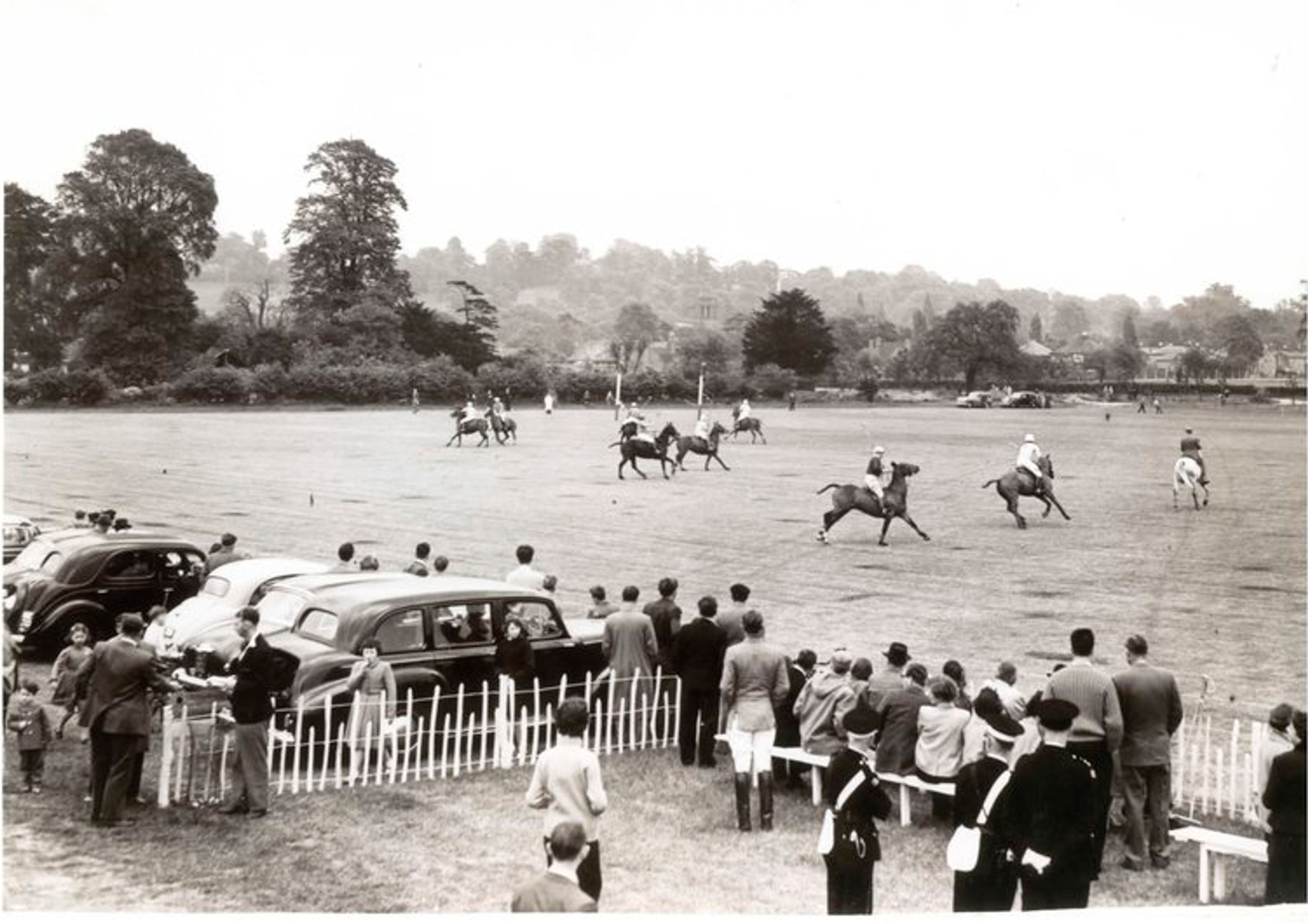 Friday Night Polo Party
