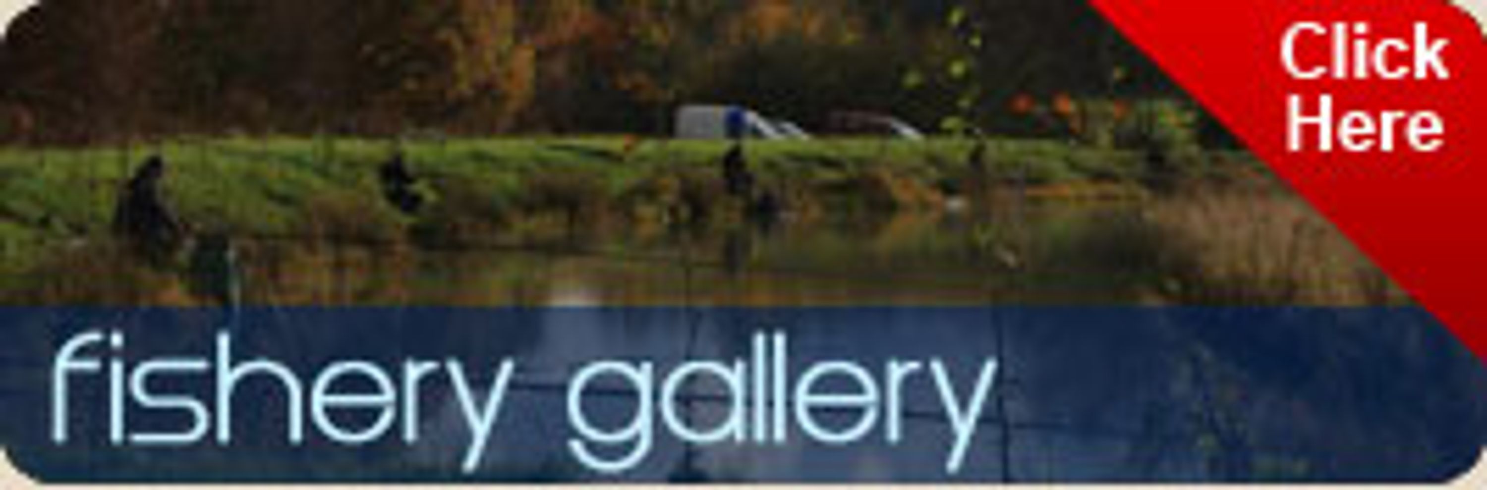 Aldercar Lane Fishery