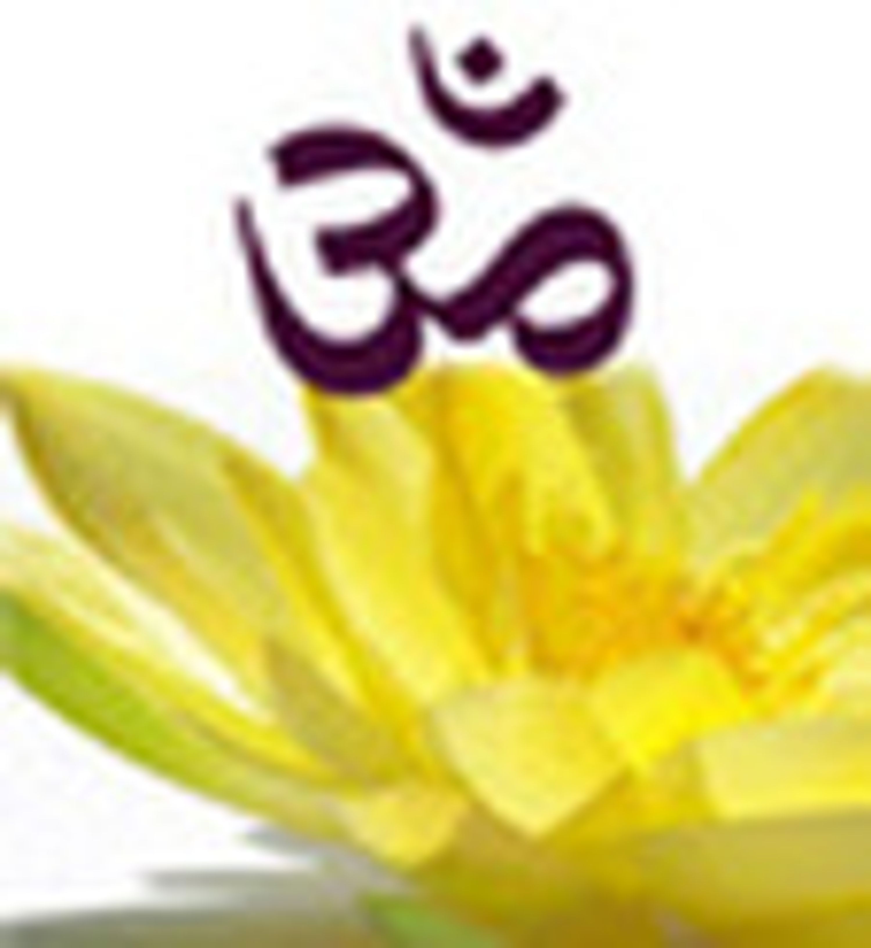 Studio Bhuta Yoga