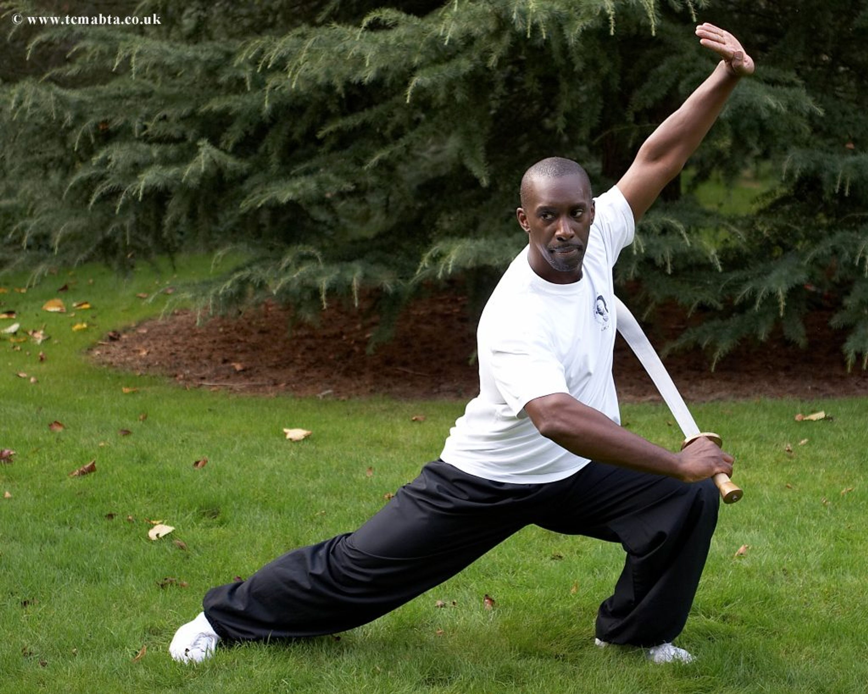 Traditional Chinese Martial Arts and Black Tiger Association