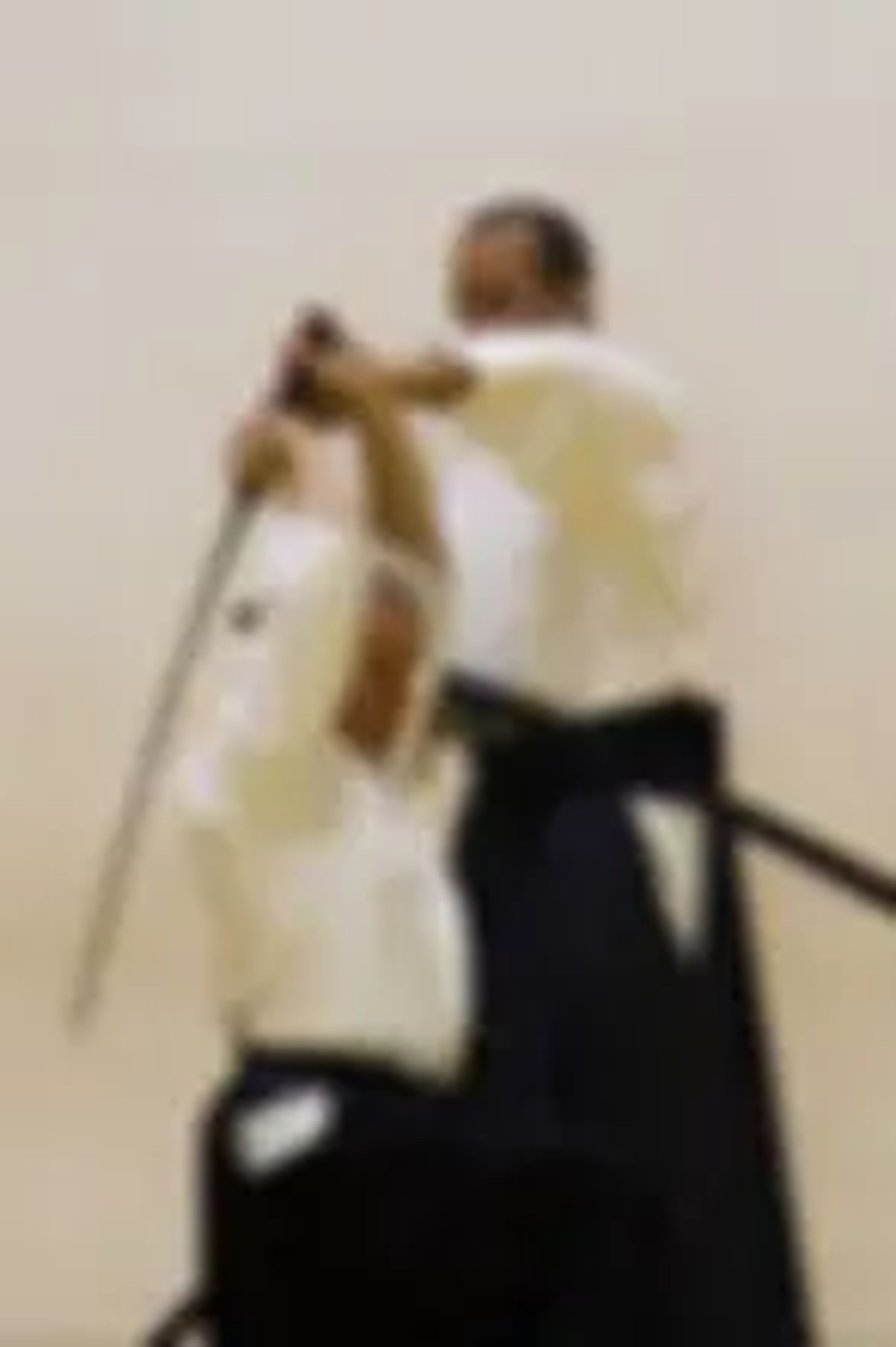 Shuho Jujitsu
