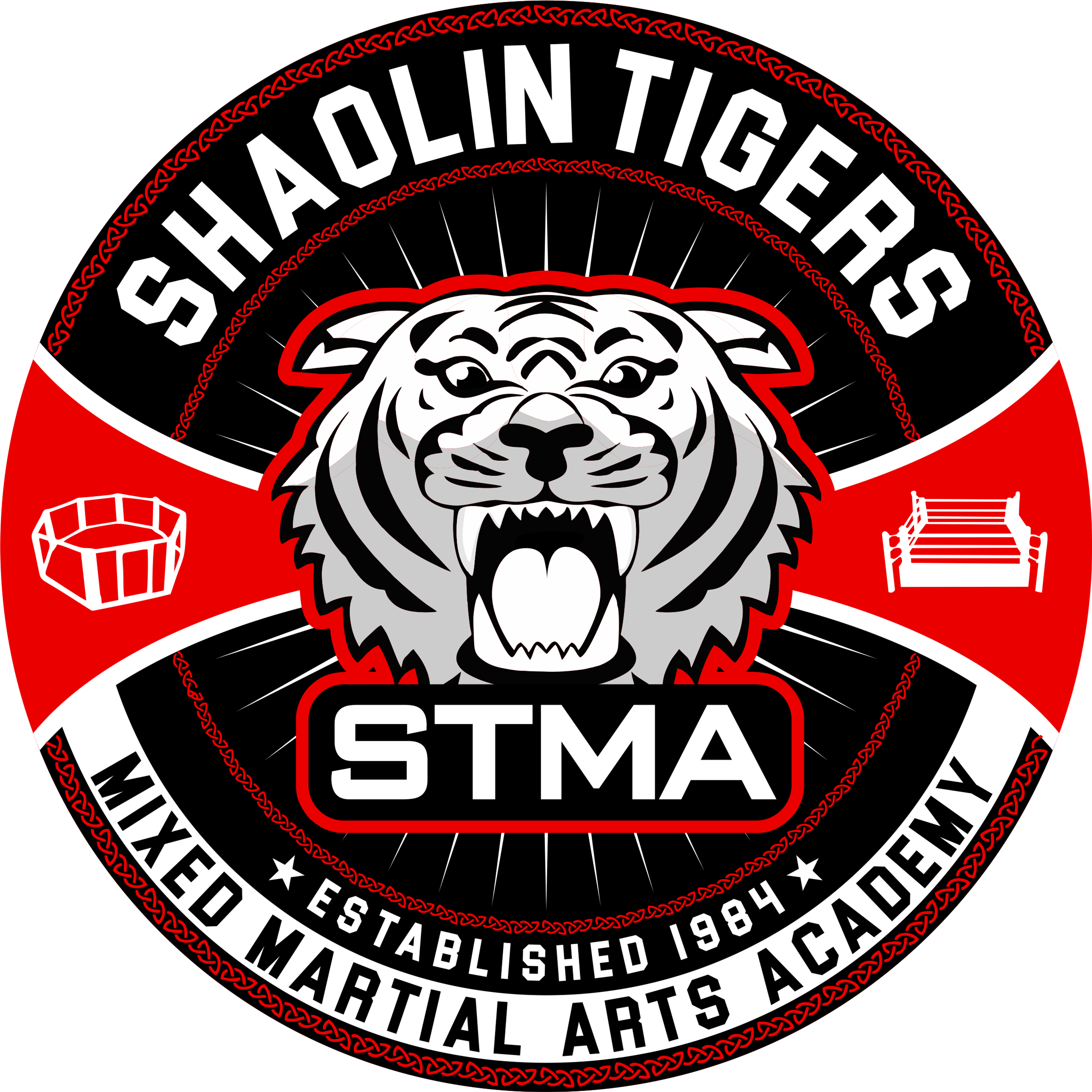 Shaolin Tigers Martial Arts BJJ Classes