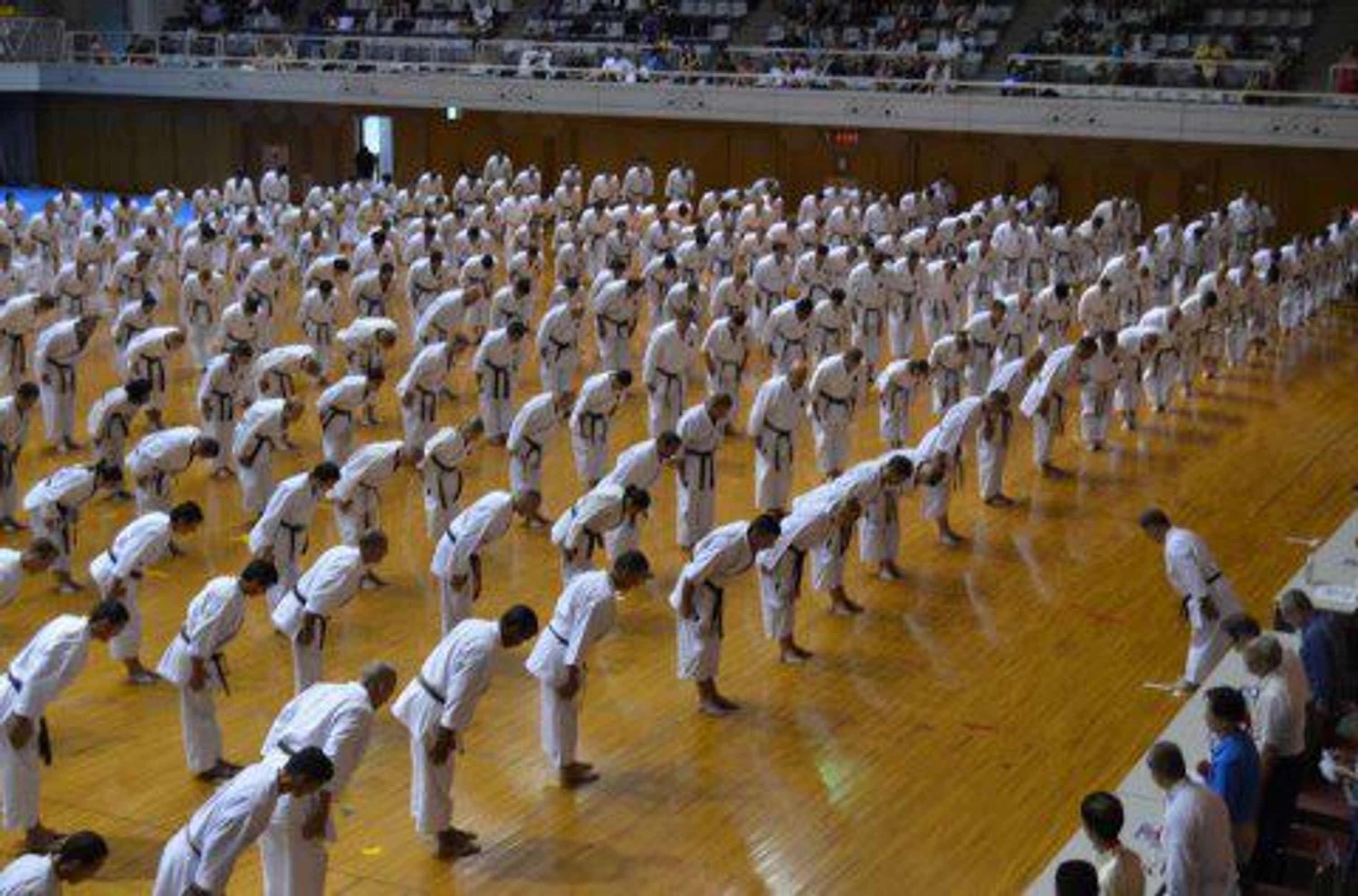 Shotokan karate Do Indian Association