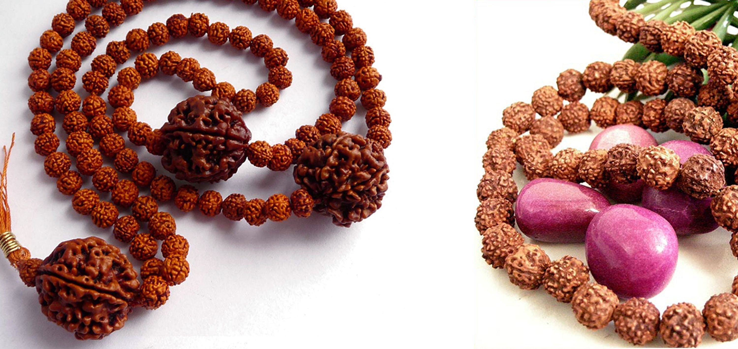 Rudraksha