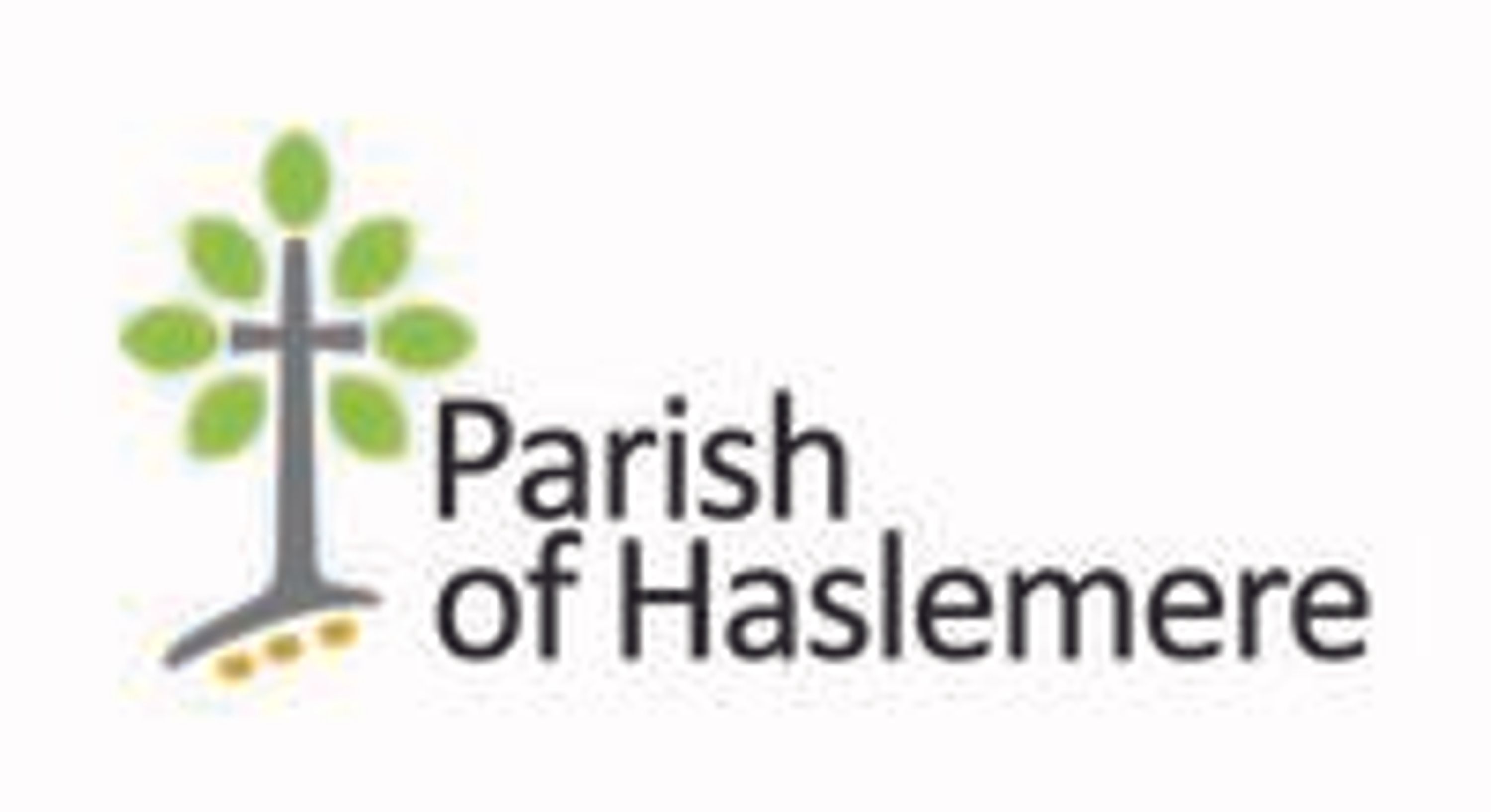 Haslemere Cricket Club