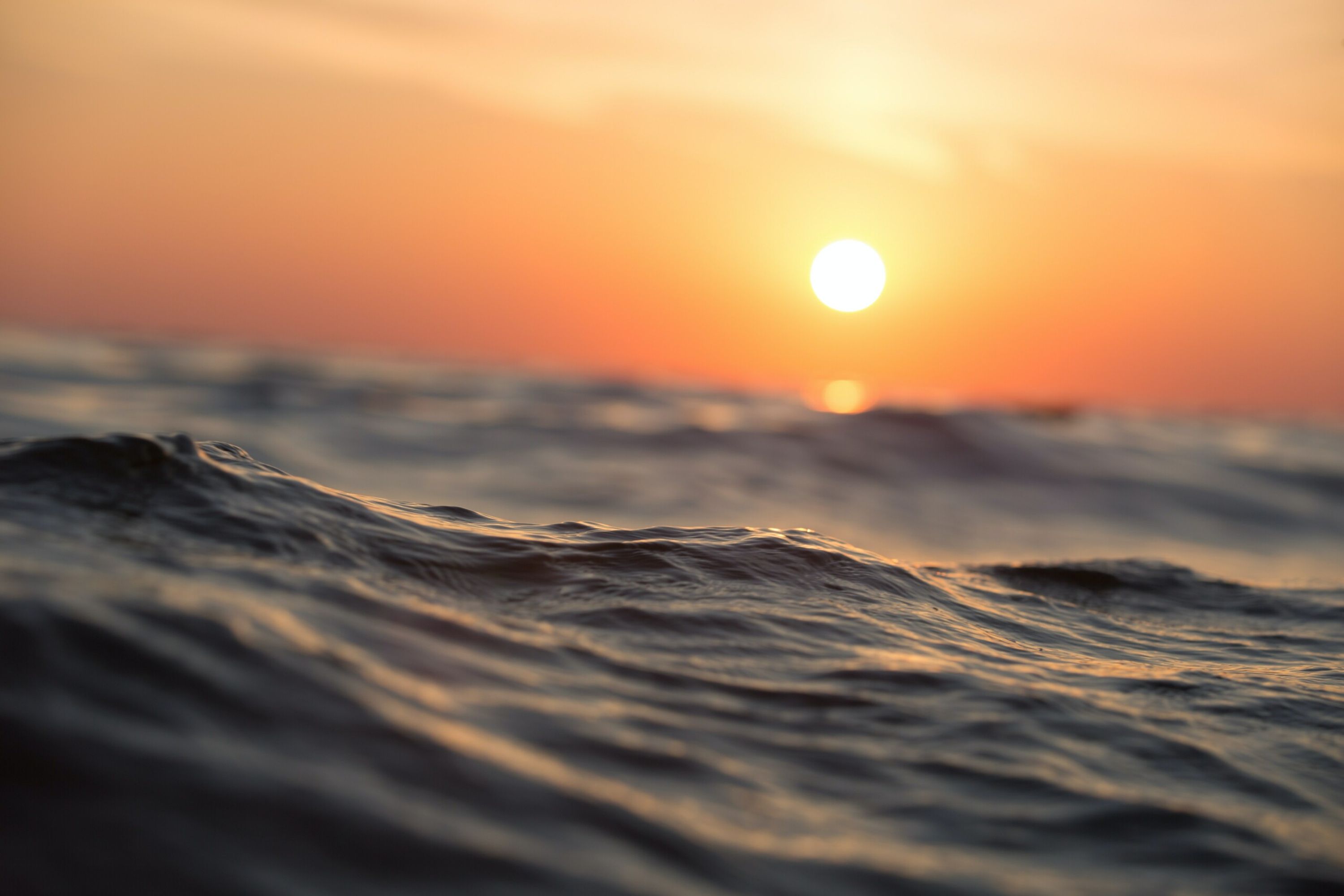 Safe Ocean
