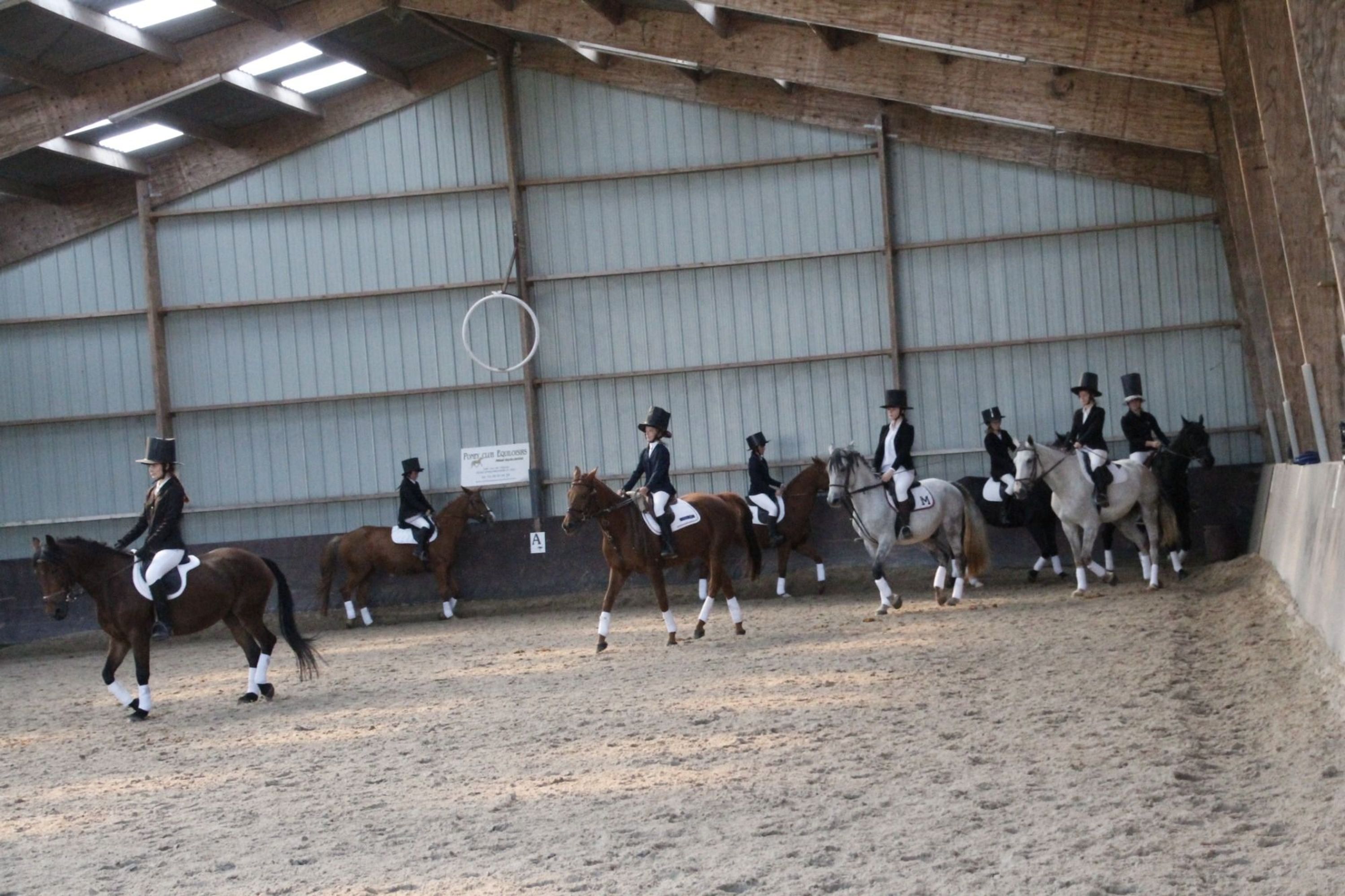 Centre Equestre Arche Equiloisirs