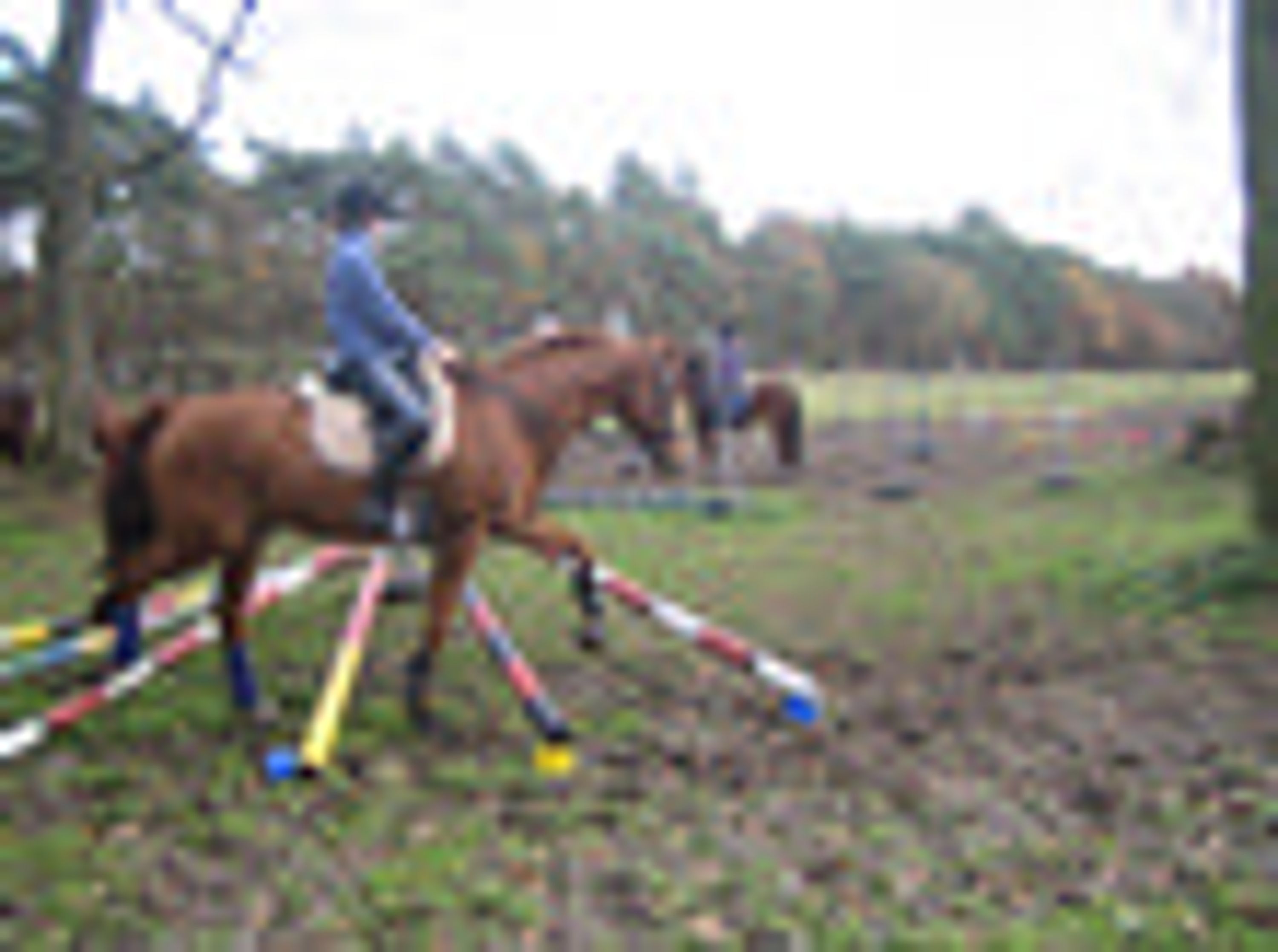 Reiterhof Michael